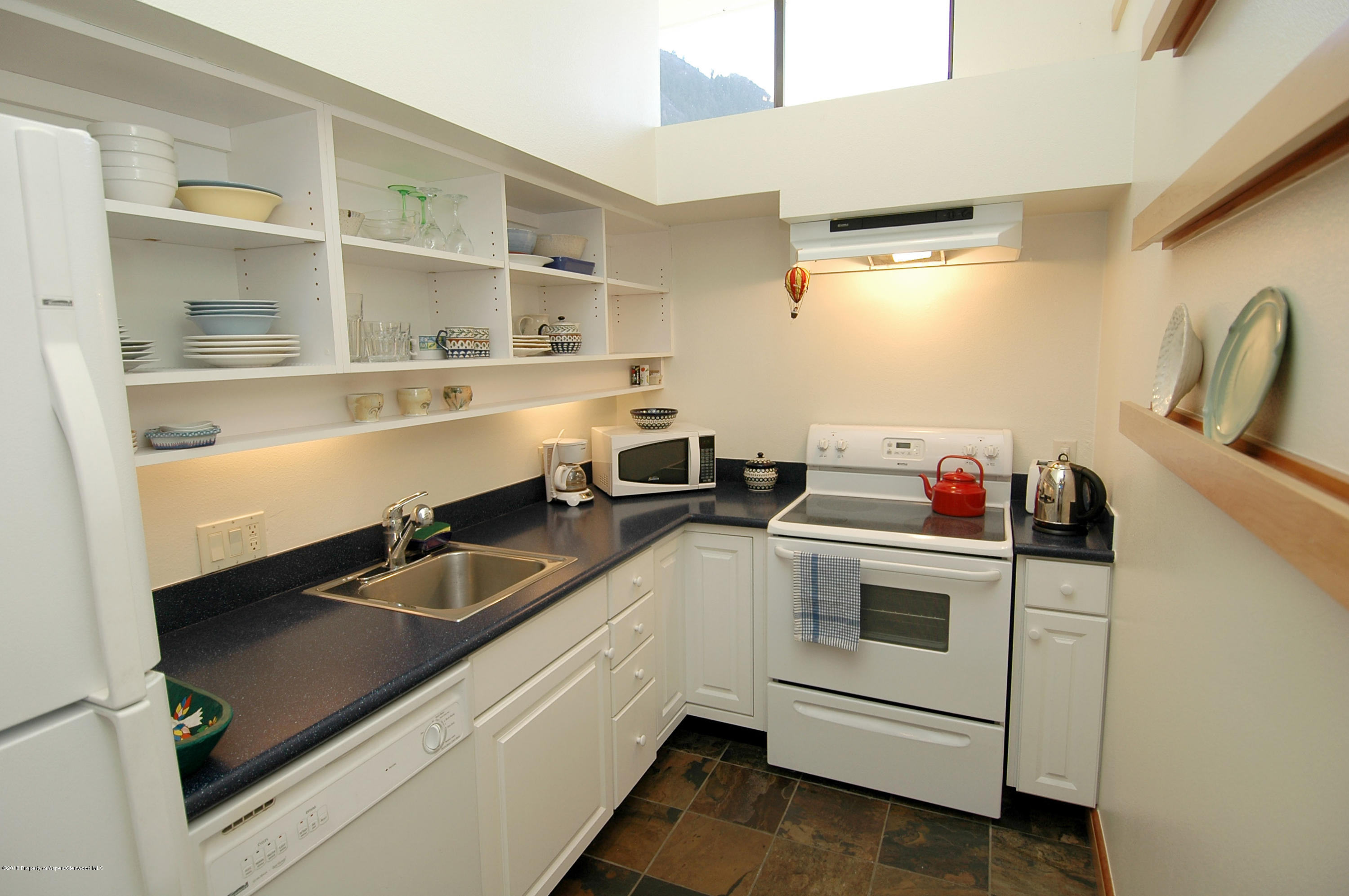 311 S Aspen Street Aspen CO 81611