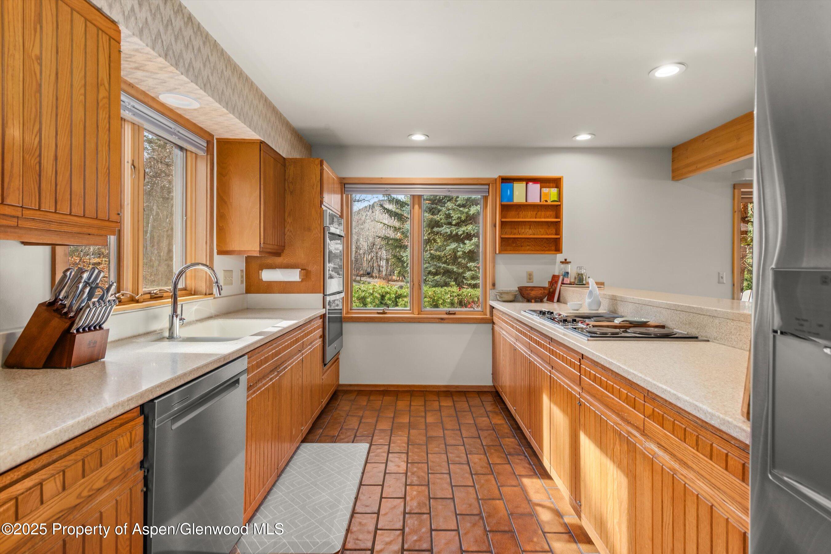 28 Larkspur Lane Aspen CO 81611