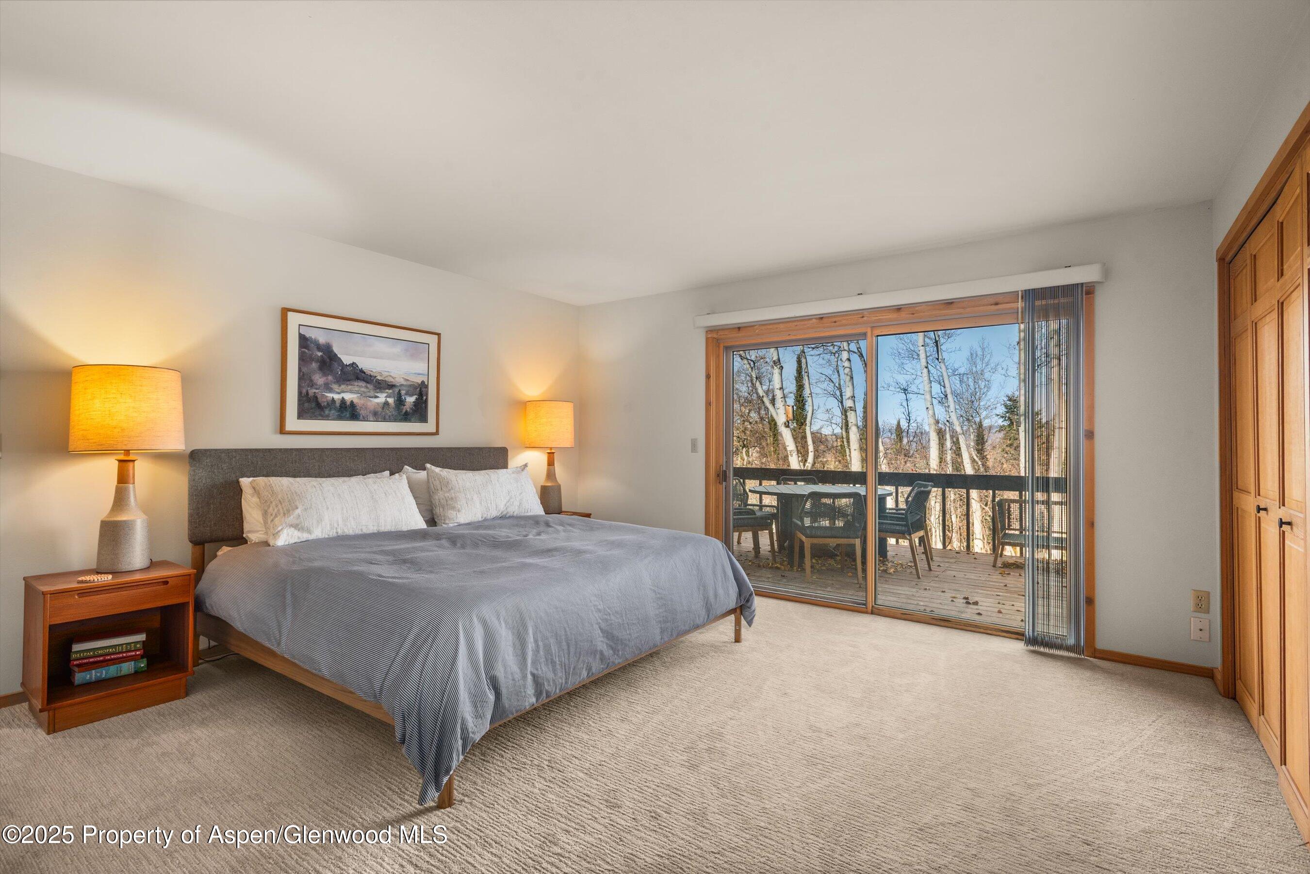 28 Larkspur Lane Aspen CO 81611
