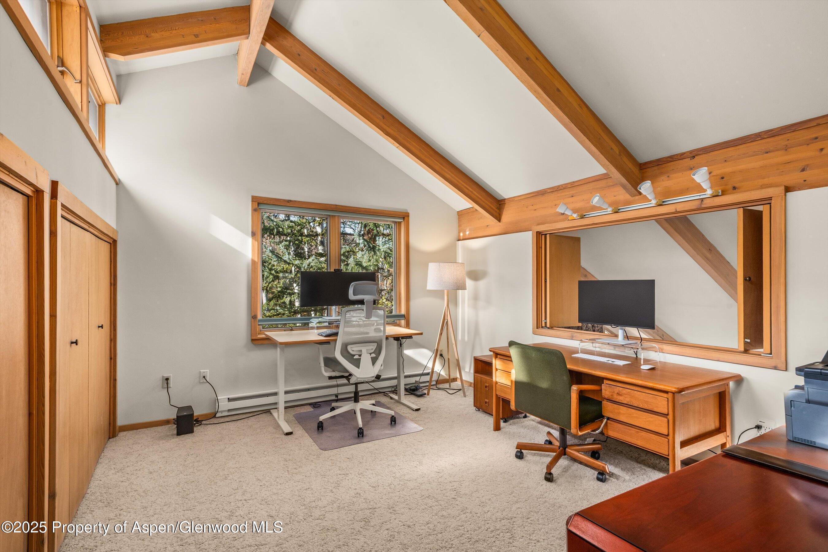 28 Larkspur Lane Aspen CO 81611