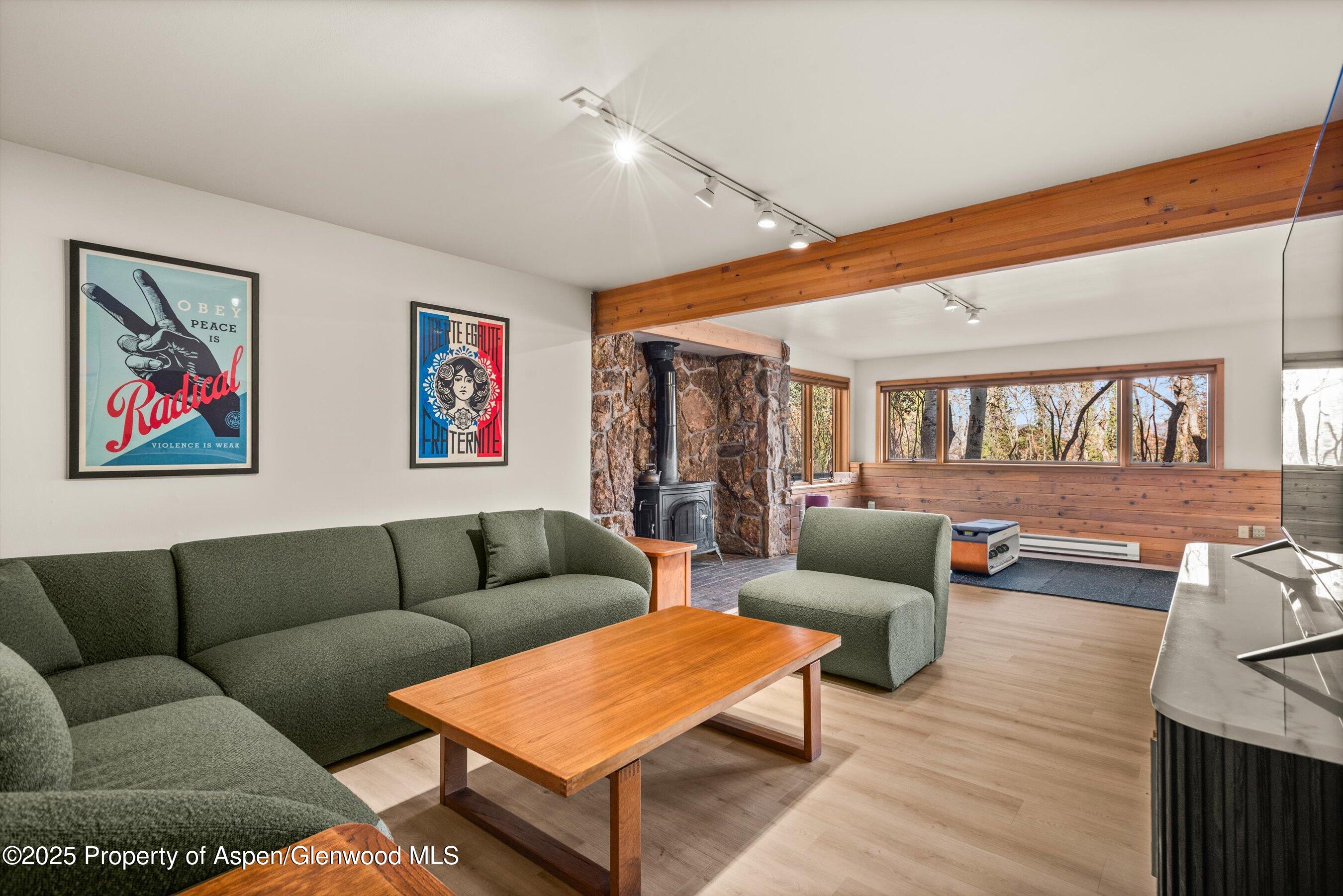 28 Larkspur Lane Aspen CO 81611