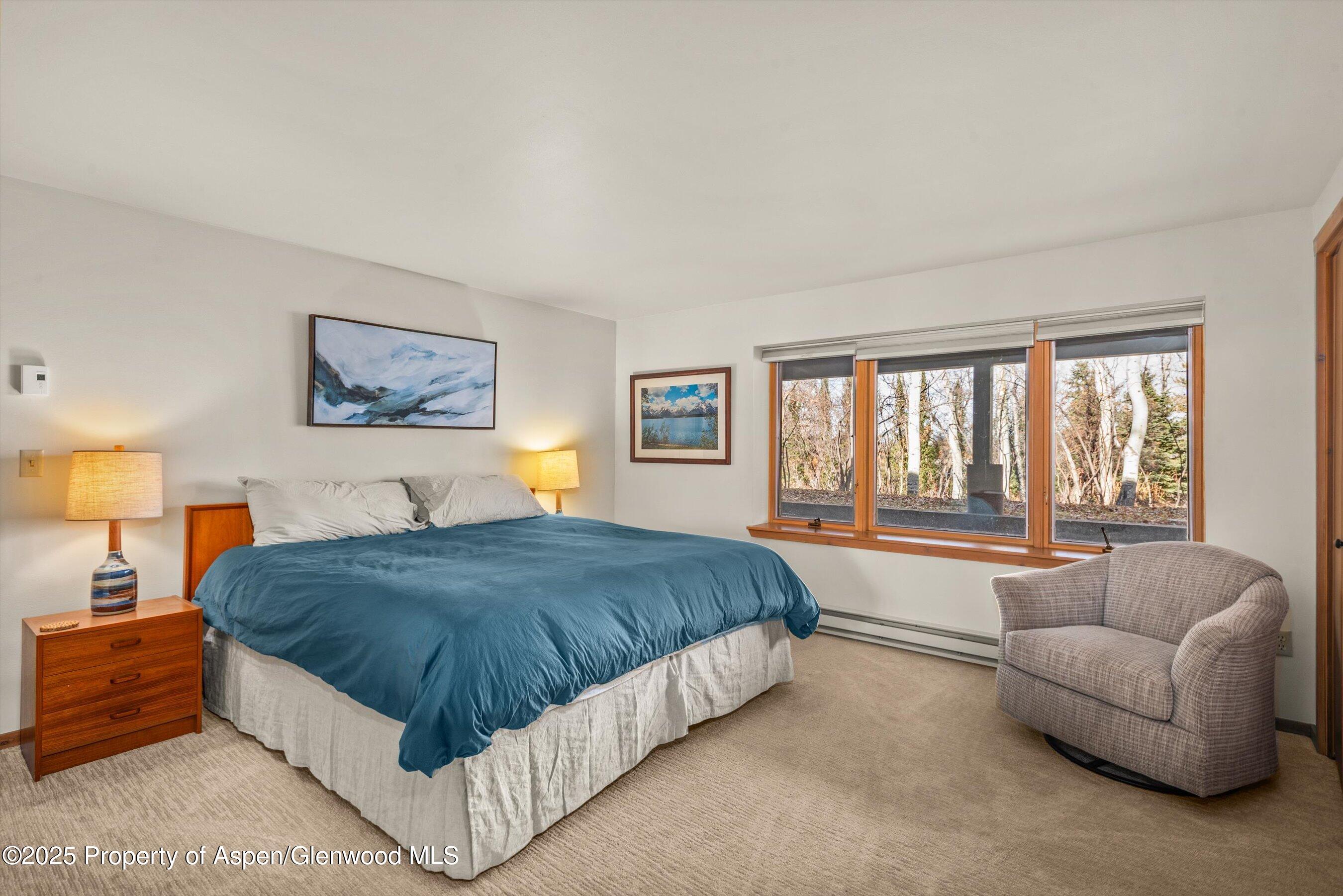 28 Larkspur Lane Aspen CO 81611