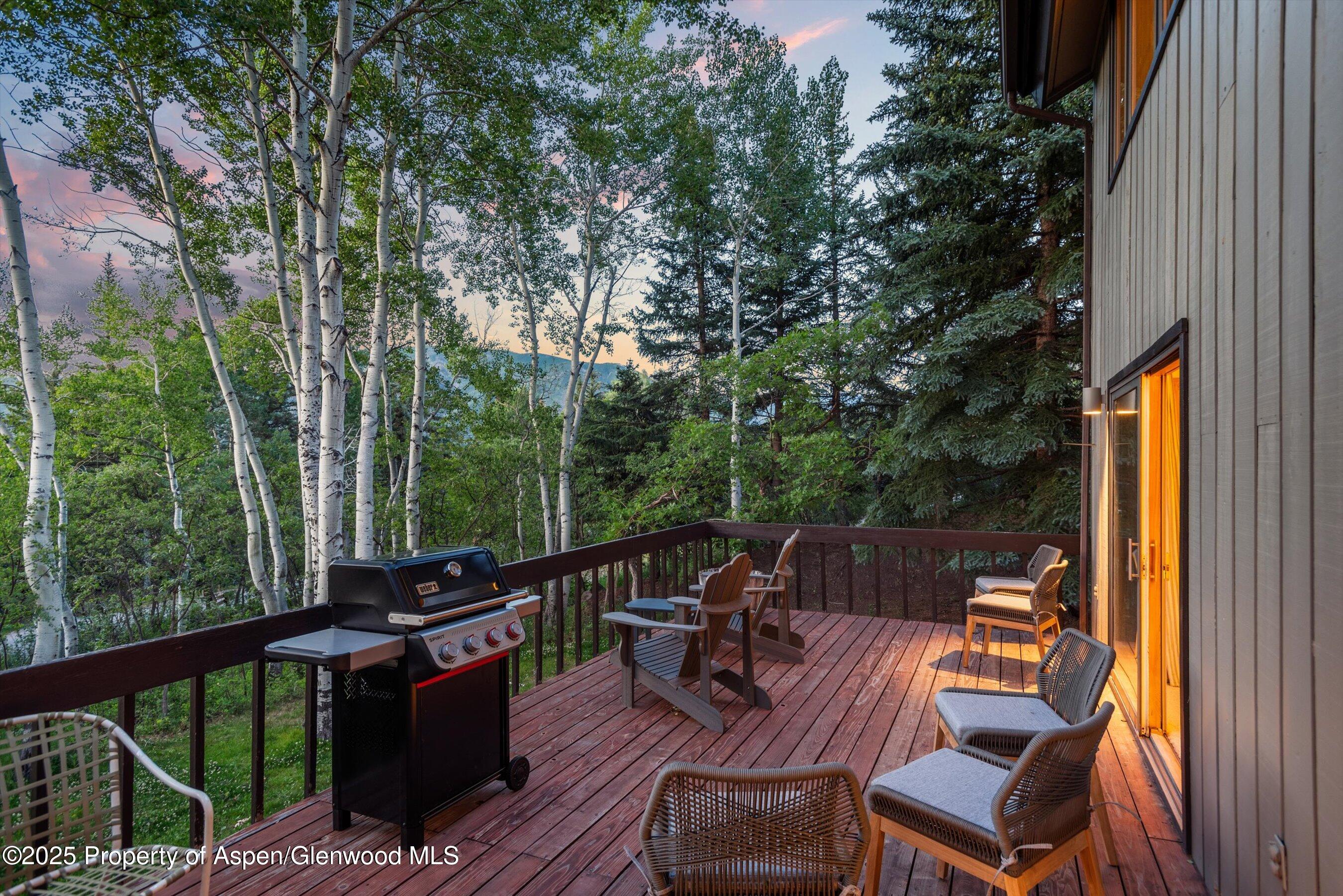 28 Larkspur Lane Aspen CO 81611