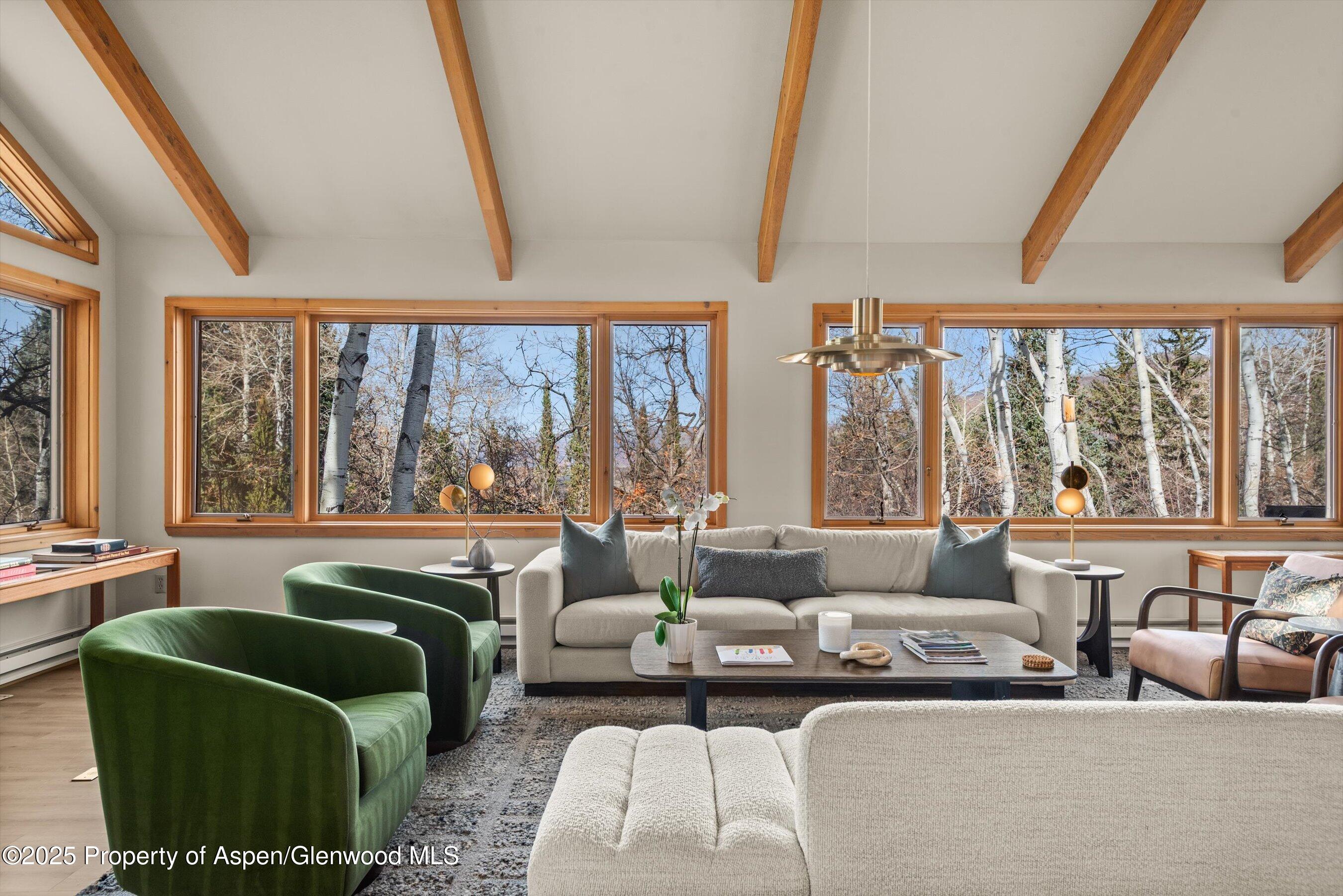 28 Larkspur Lane Aspen CO 81611