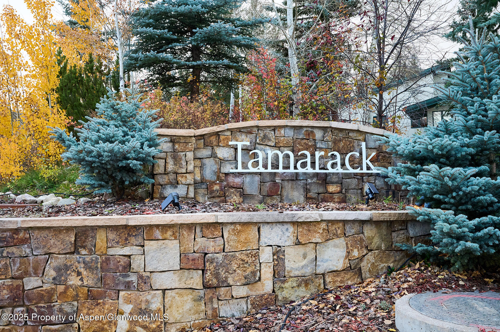 135 Carriage Way Snowmass Village CO 81615