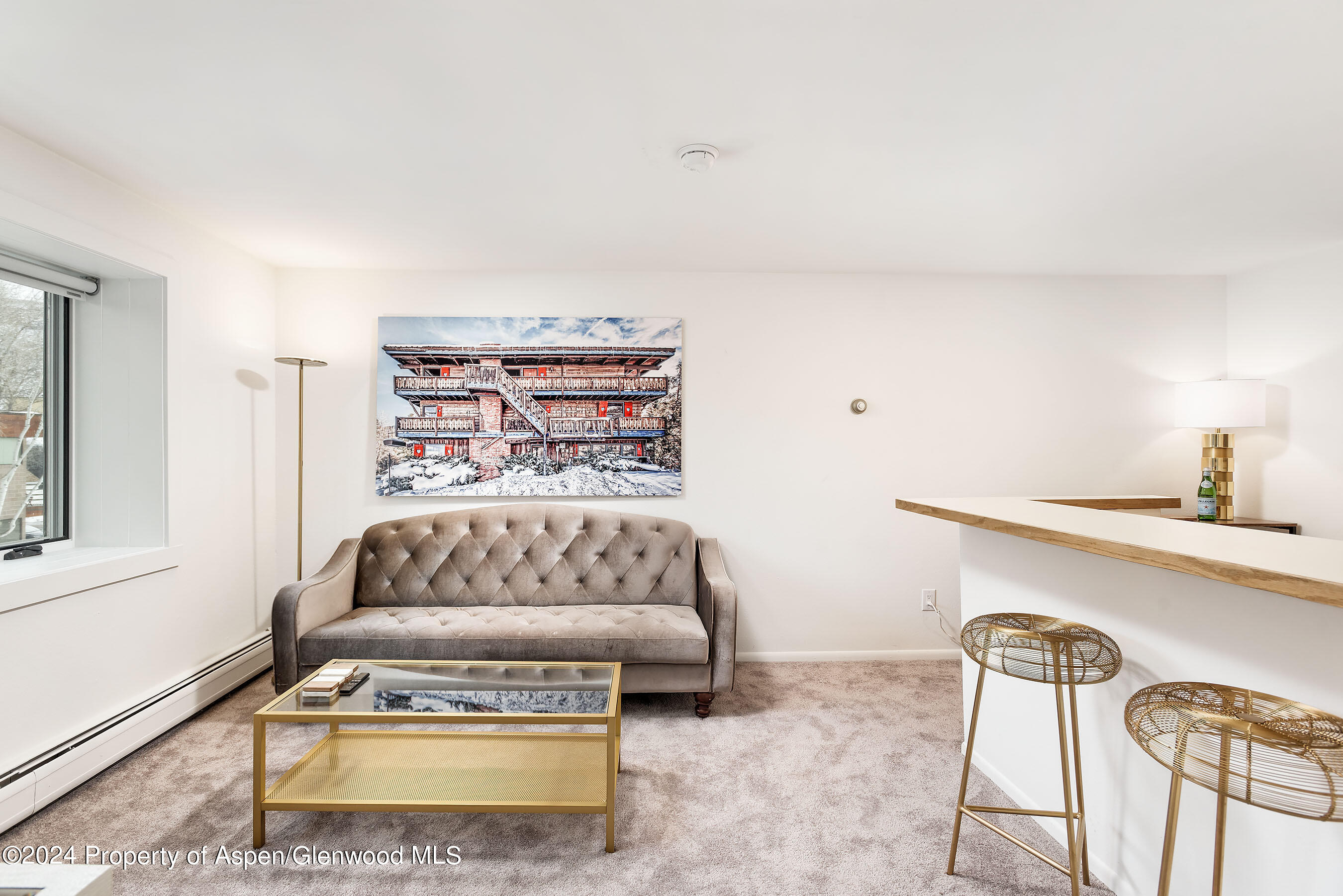 119 E Cooper Avenue Aspen CO 81611