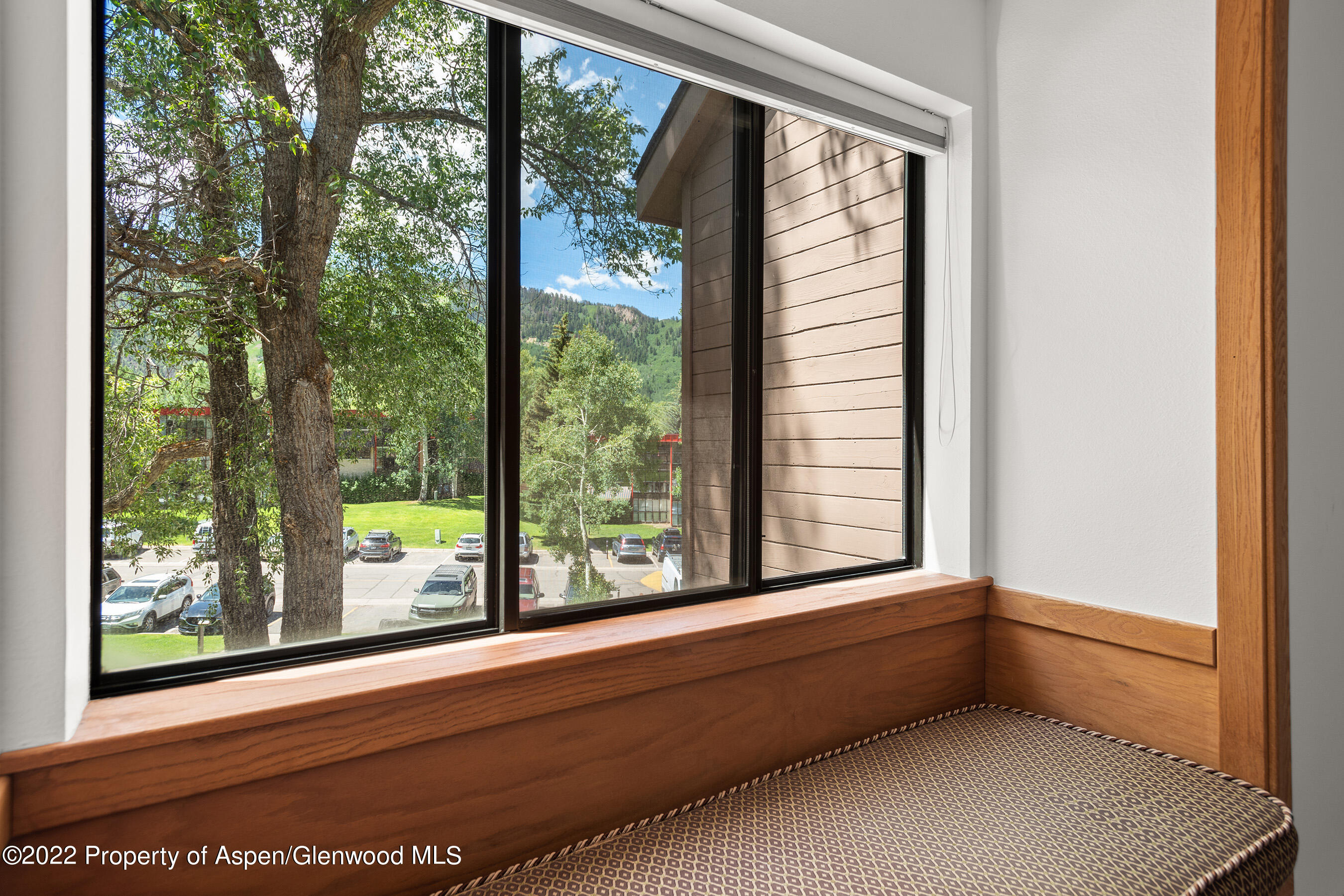 335 Vine Street Aspen CO 81611