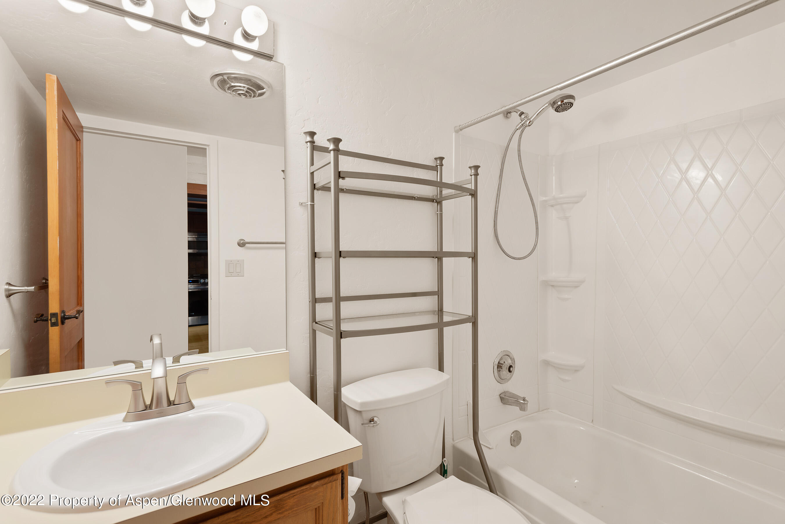 335 Vine Street Aspen CO 81611