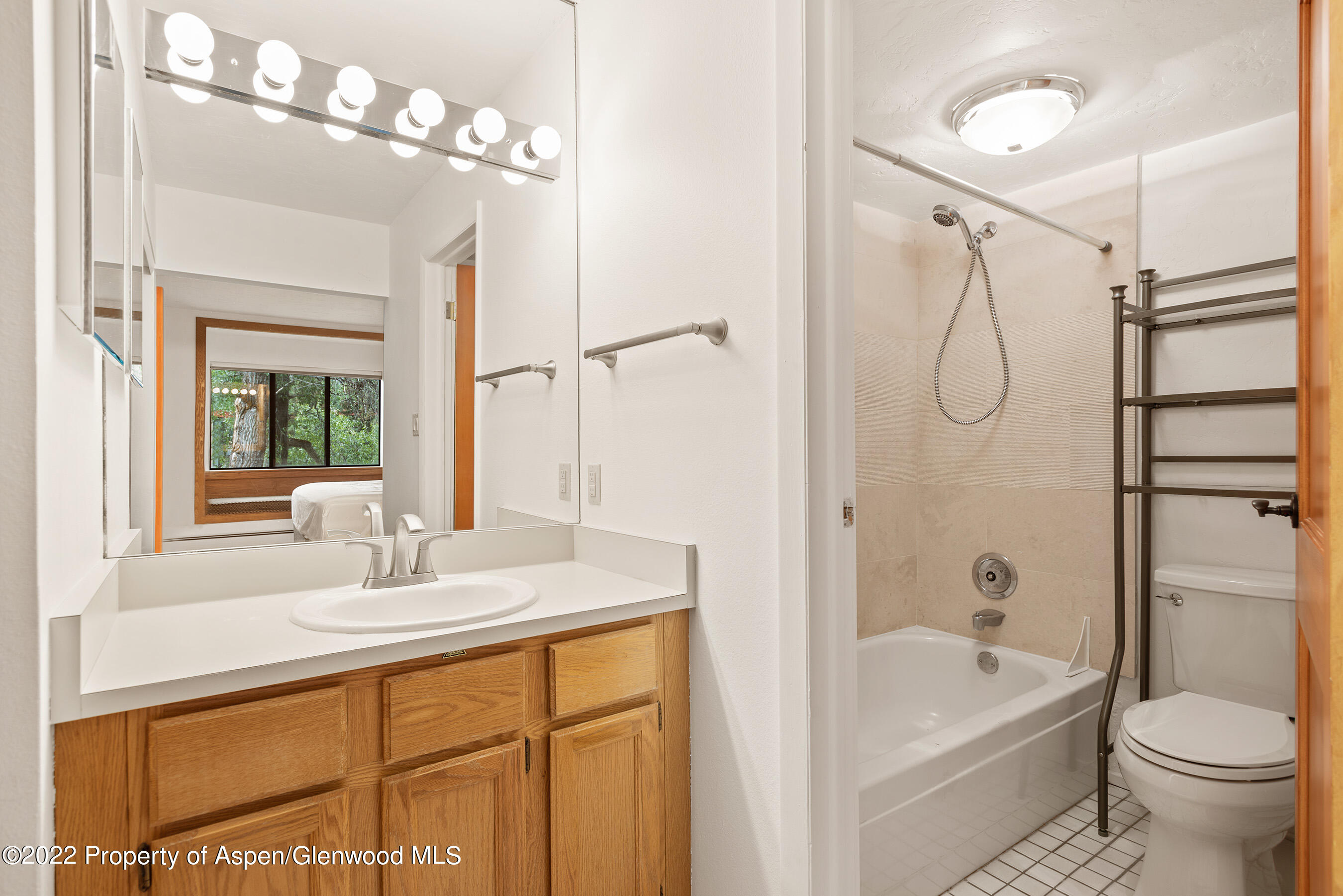 335 Vine Street Aspen CO 81611