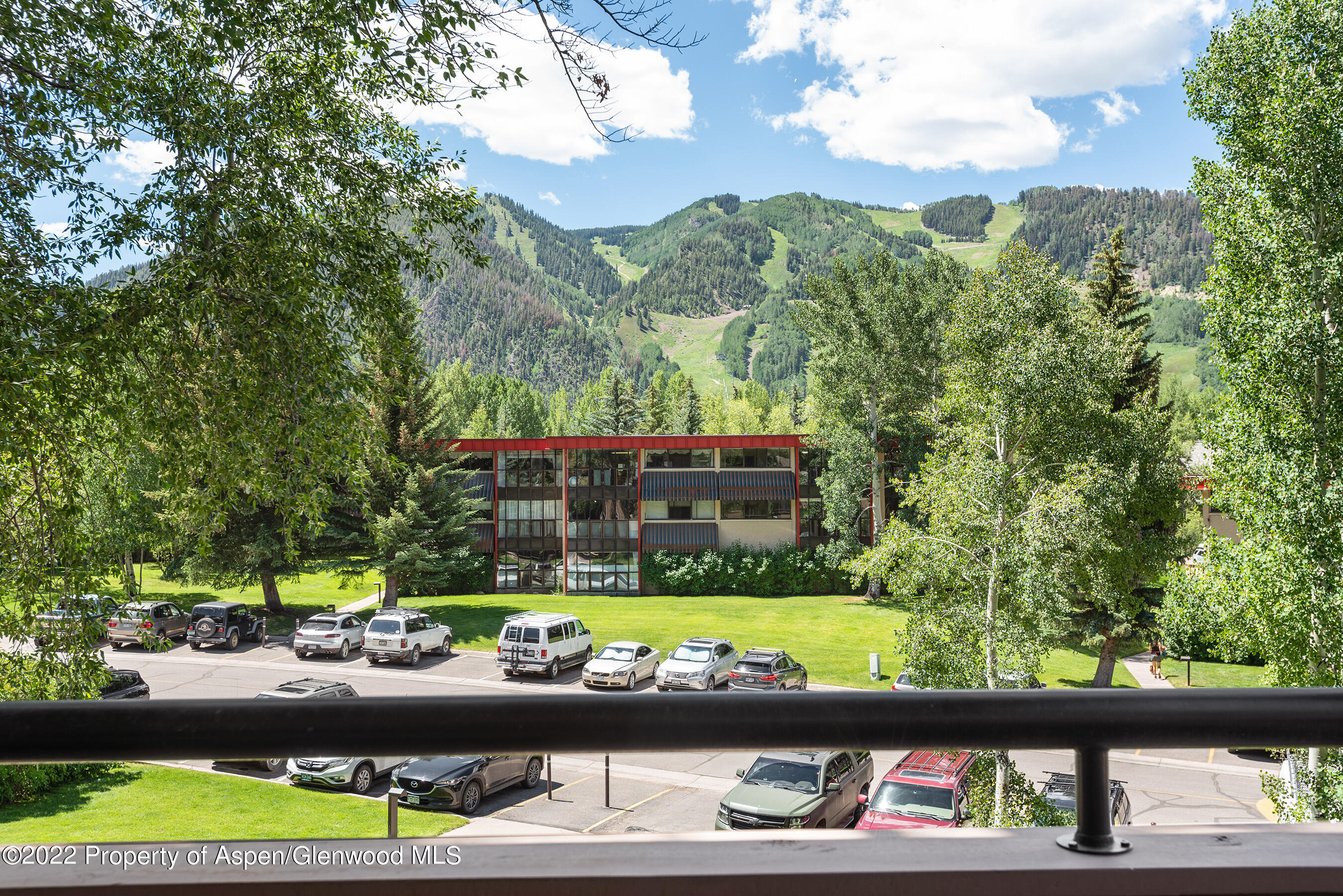 335 Vine Street Aspen CO 81611