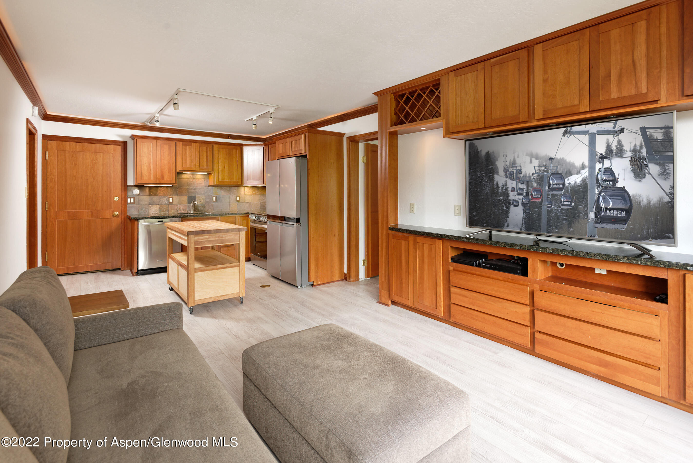 335 Vine Street Aspen CO 81611