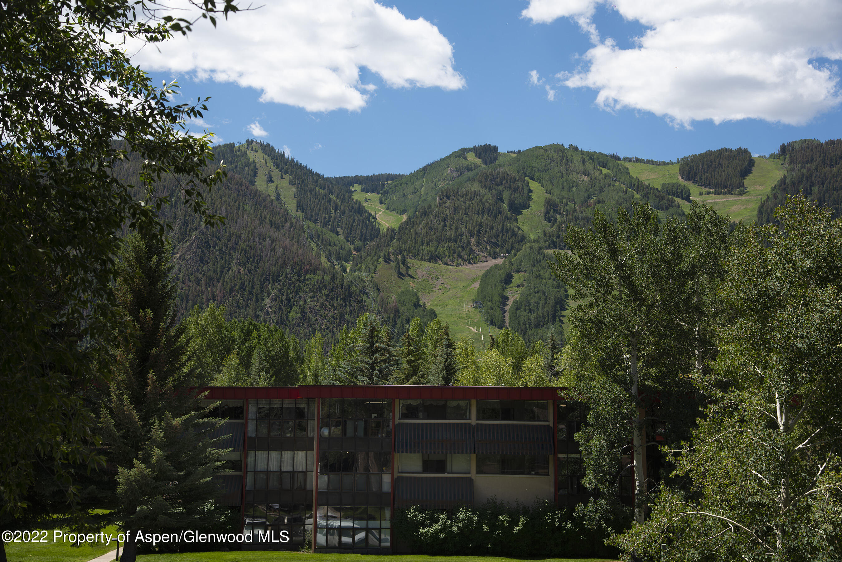 335 Vine Street Aspen CO 81611