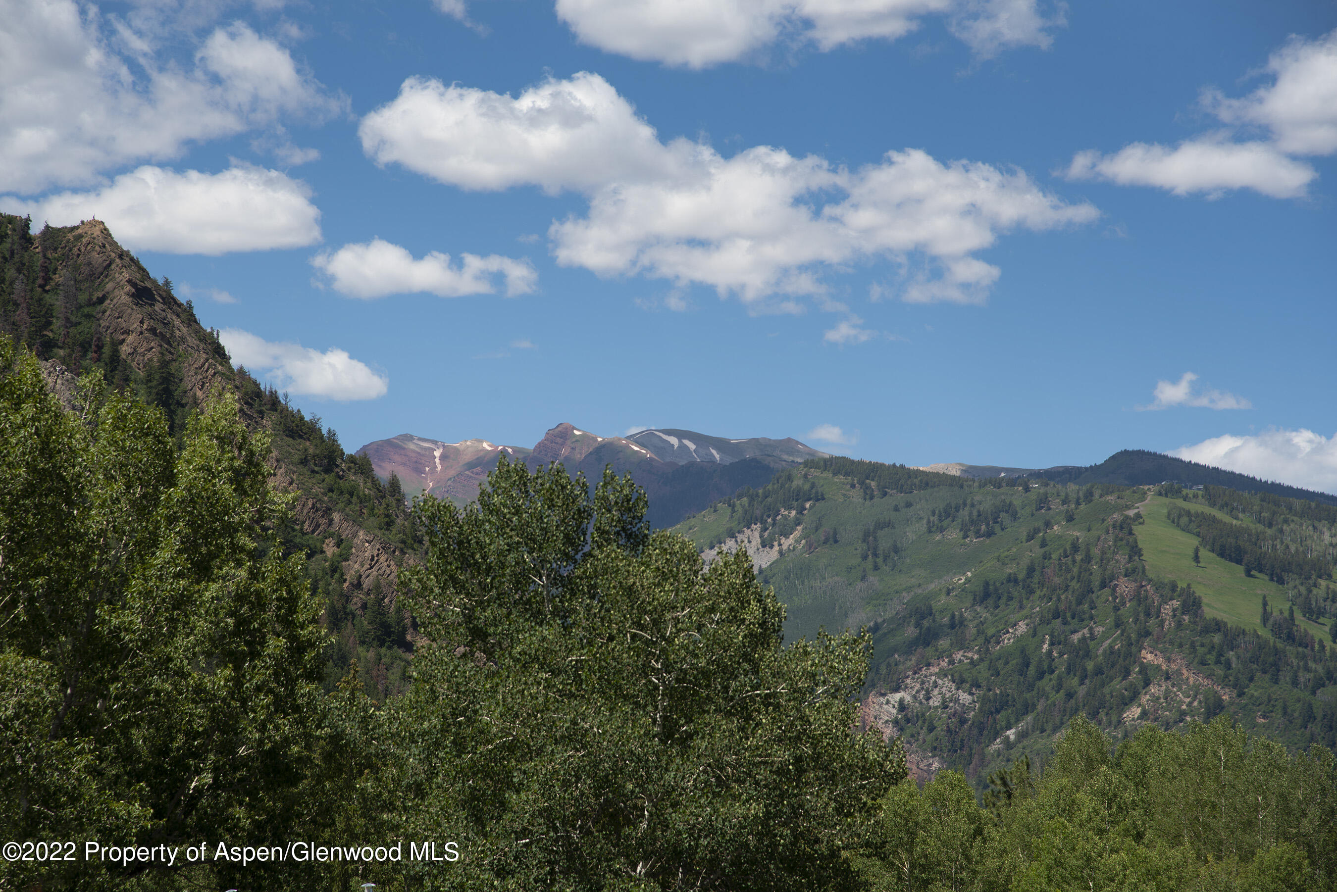 335 Vine Street Aspen CO 81611