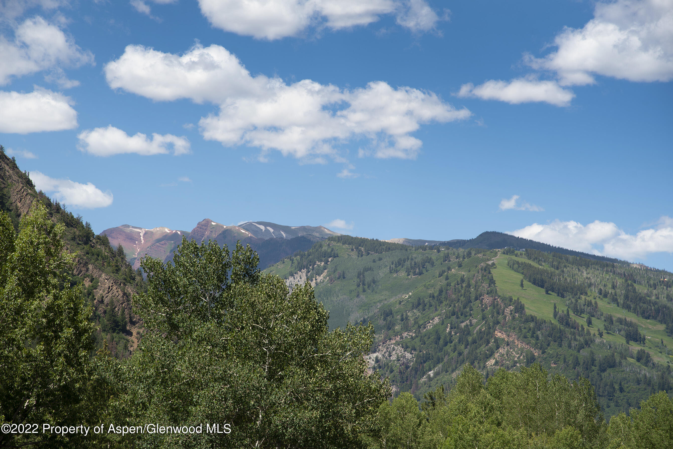 335 Vine Street Aspen CO 81611