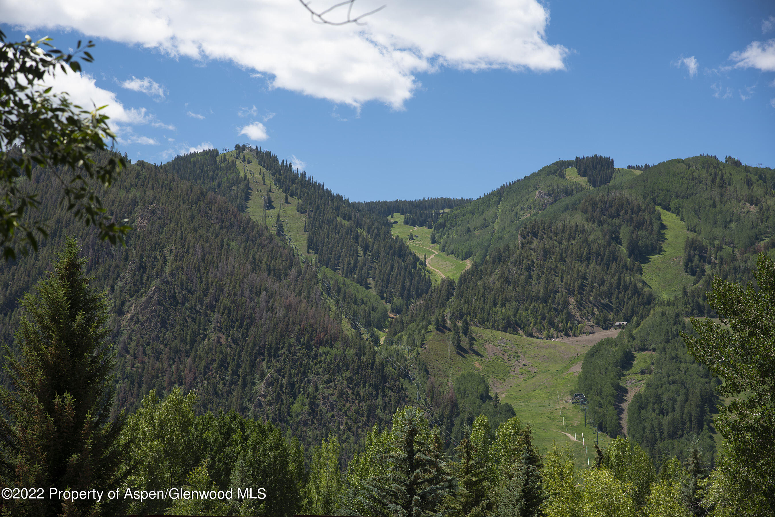 335 Vine Street Aspen CO 81611