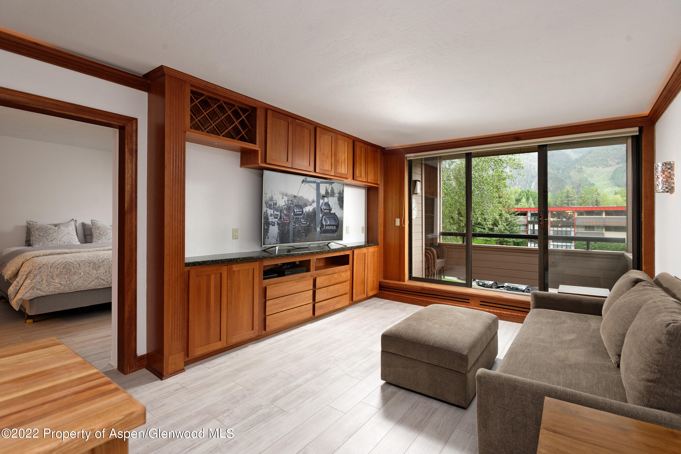 335 Vine Street Aspen CO 81611