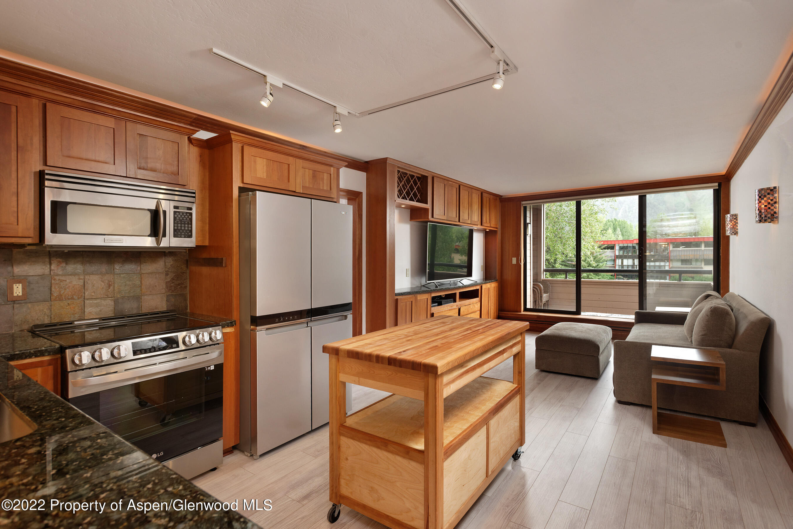 335 Vine Street Aspen CO 81611