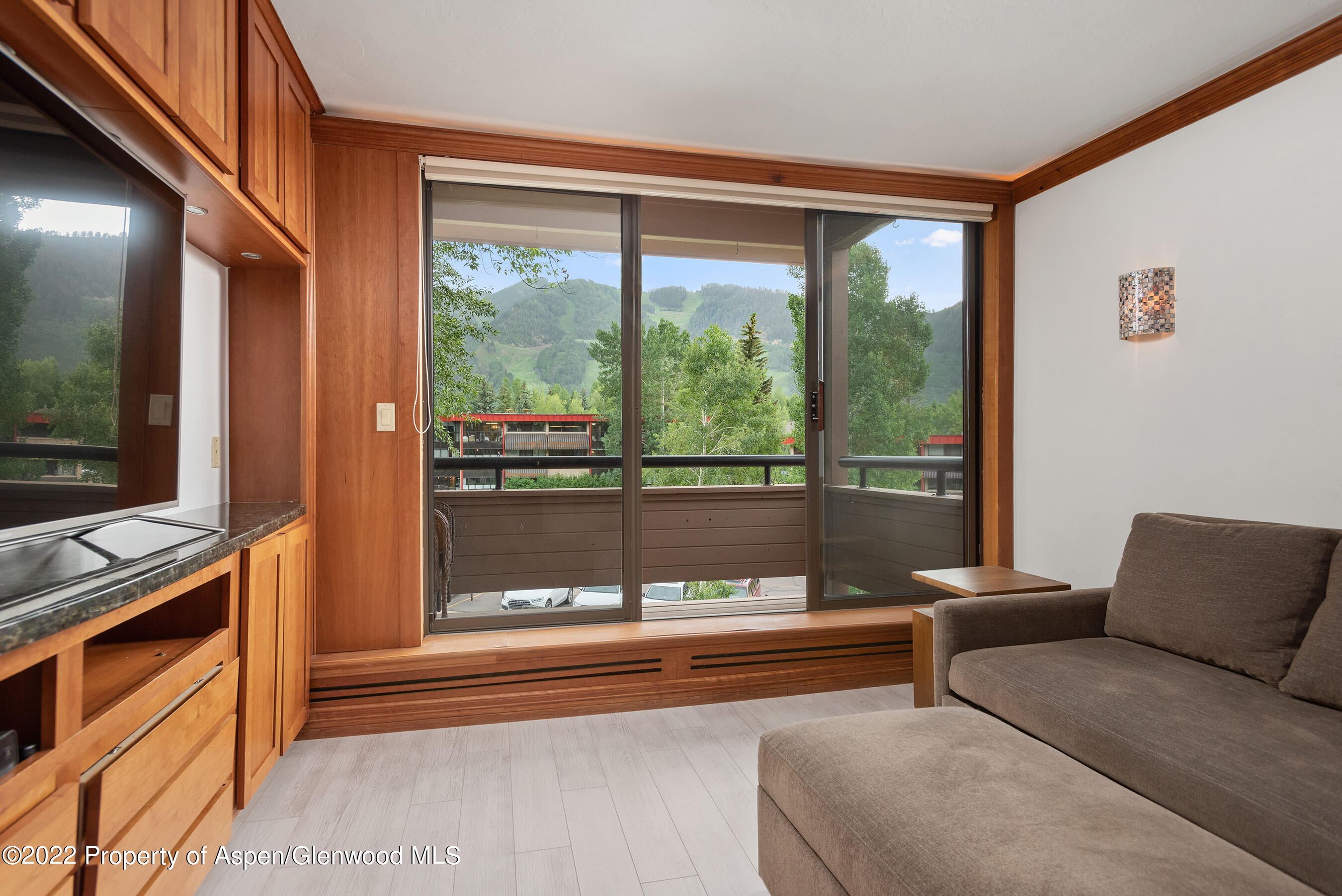 335 Vine Street Aspen CO 81611