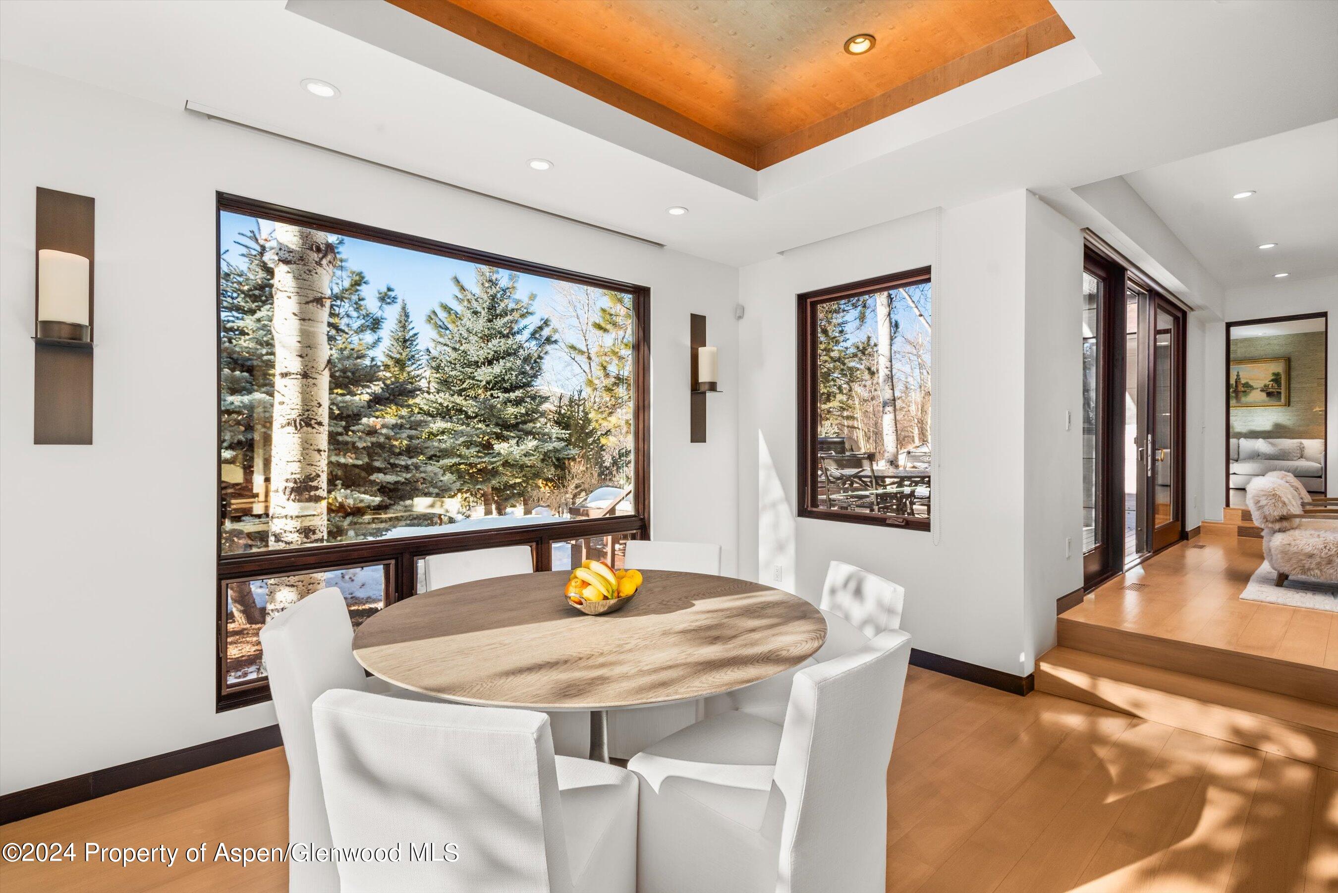 25 Nighthawk Drive Aspen CO 81611