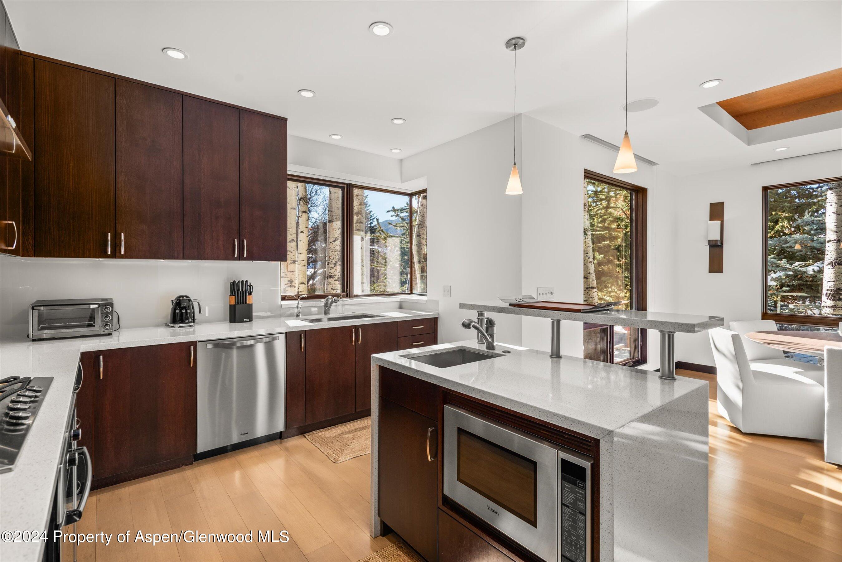 25 Nighthawk Drive Aspen CO 81611