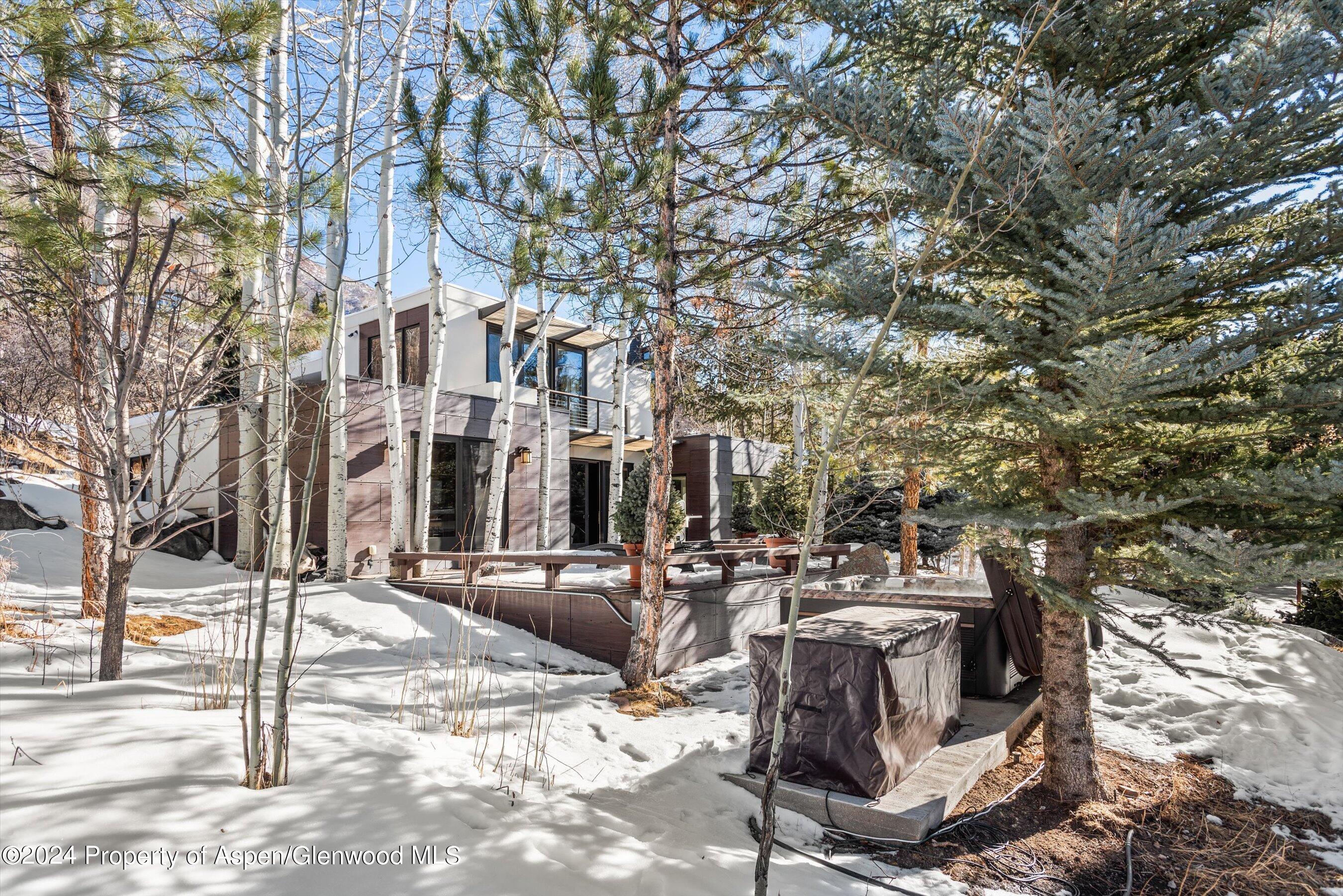 25 Nighthawk Drive Aspen CO 81611