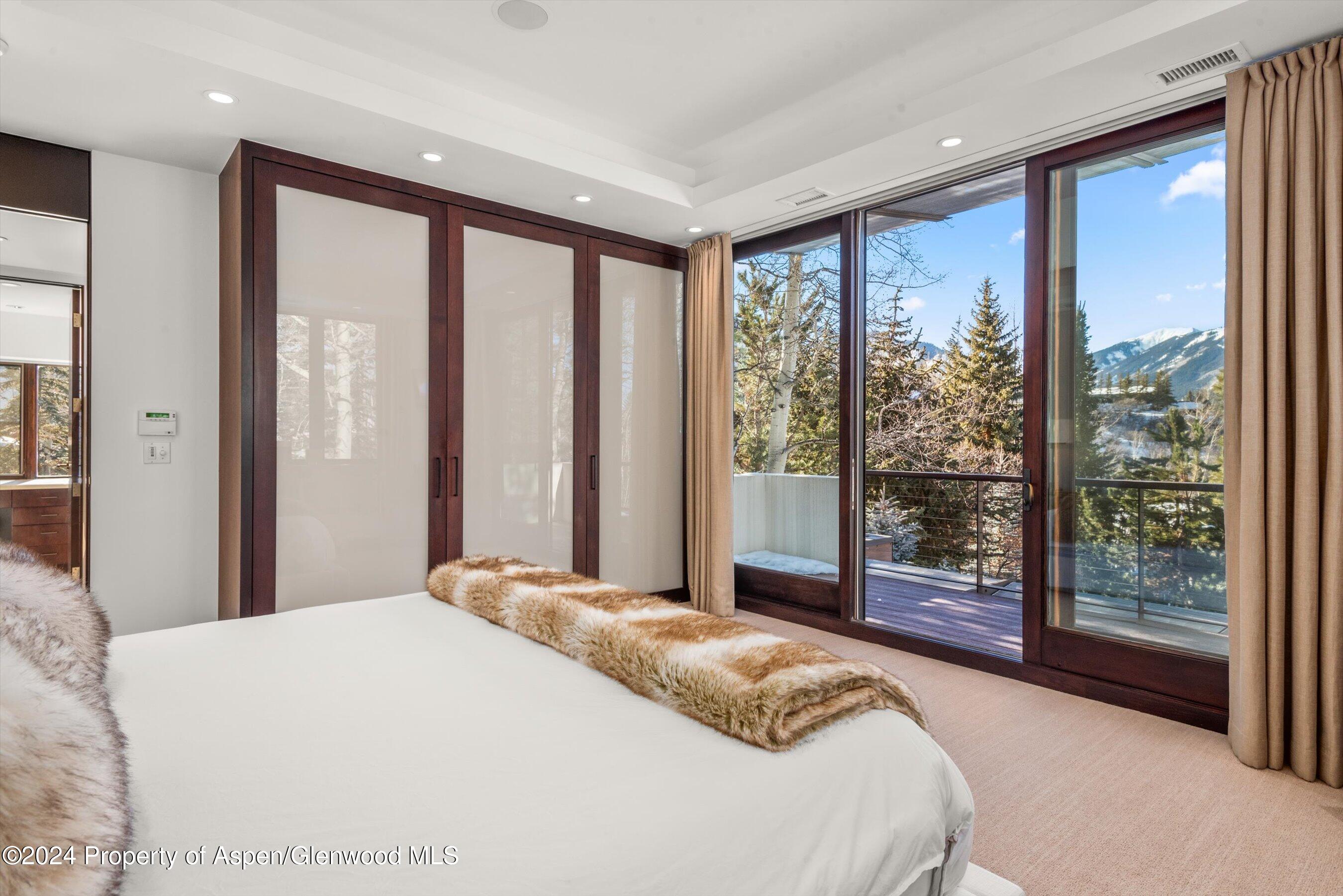 25 Nighthawk Drive Aspen CO 81611