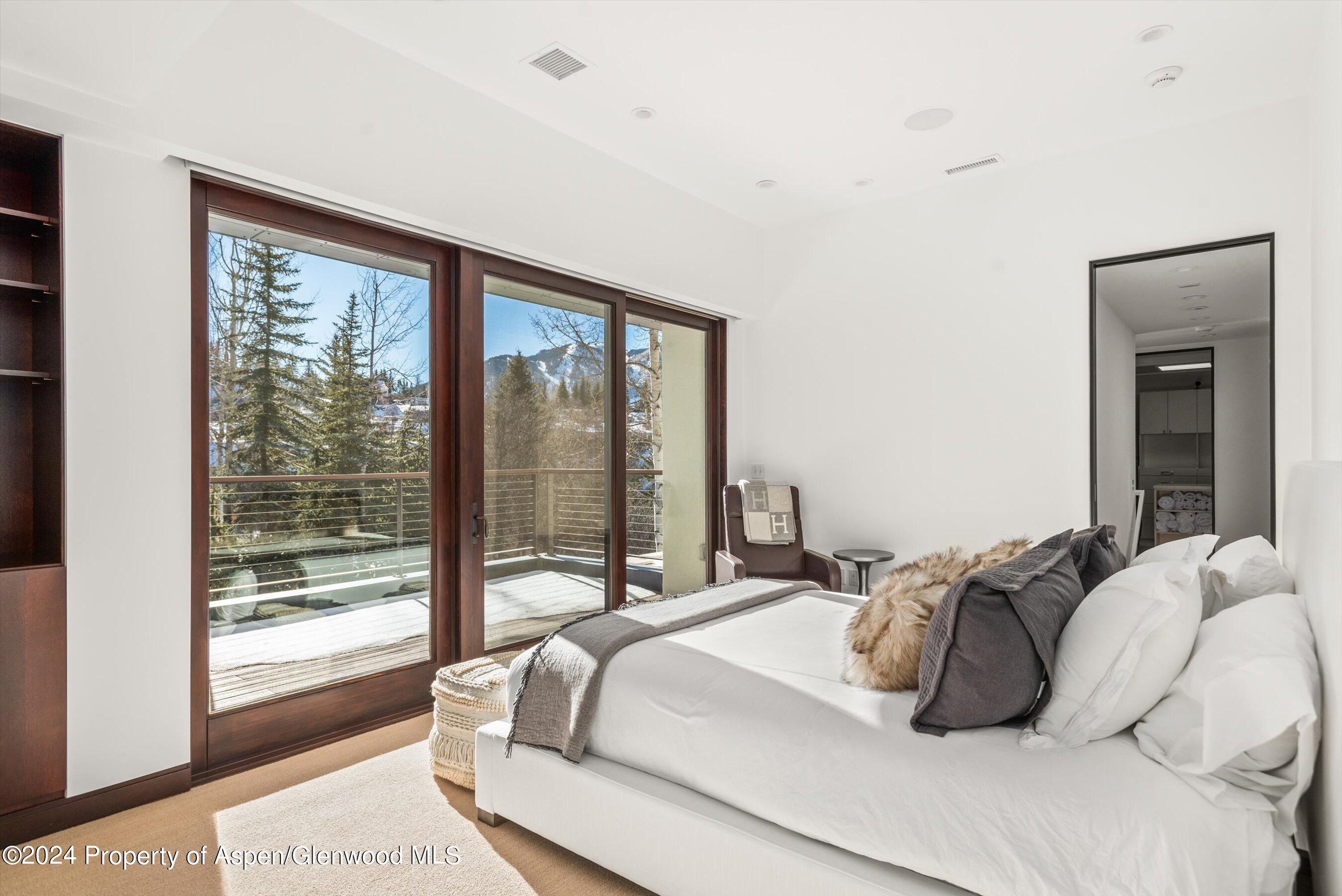 25 Nighthawk Drive Aspen CO 81611