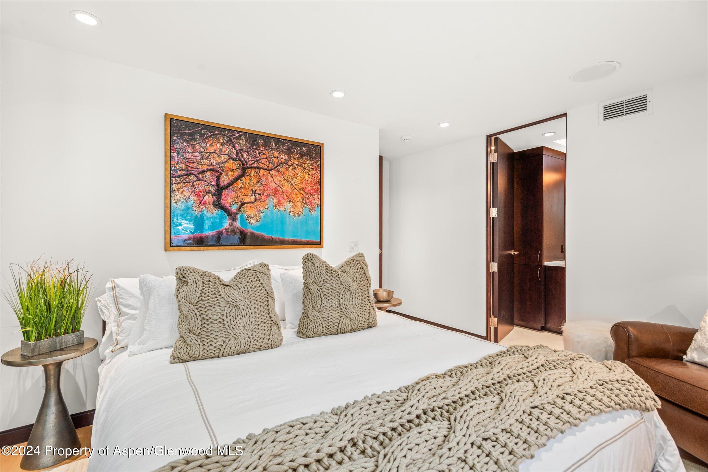 25 Nighthawk Drive Aspen CO 81611