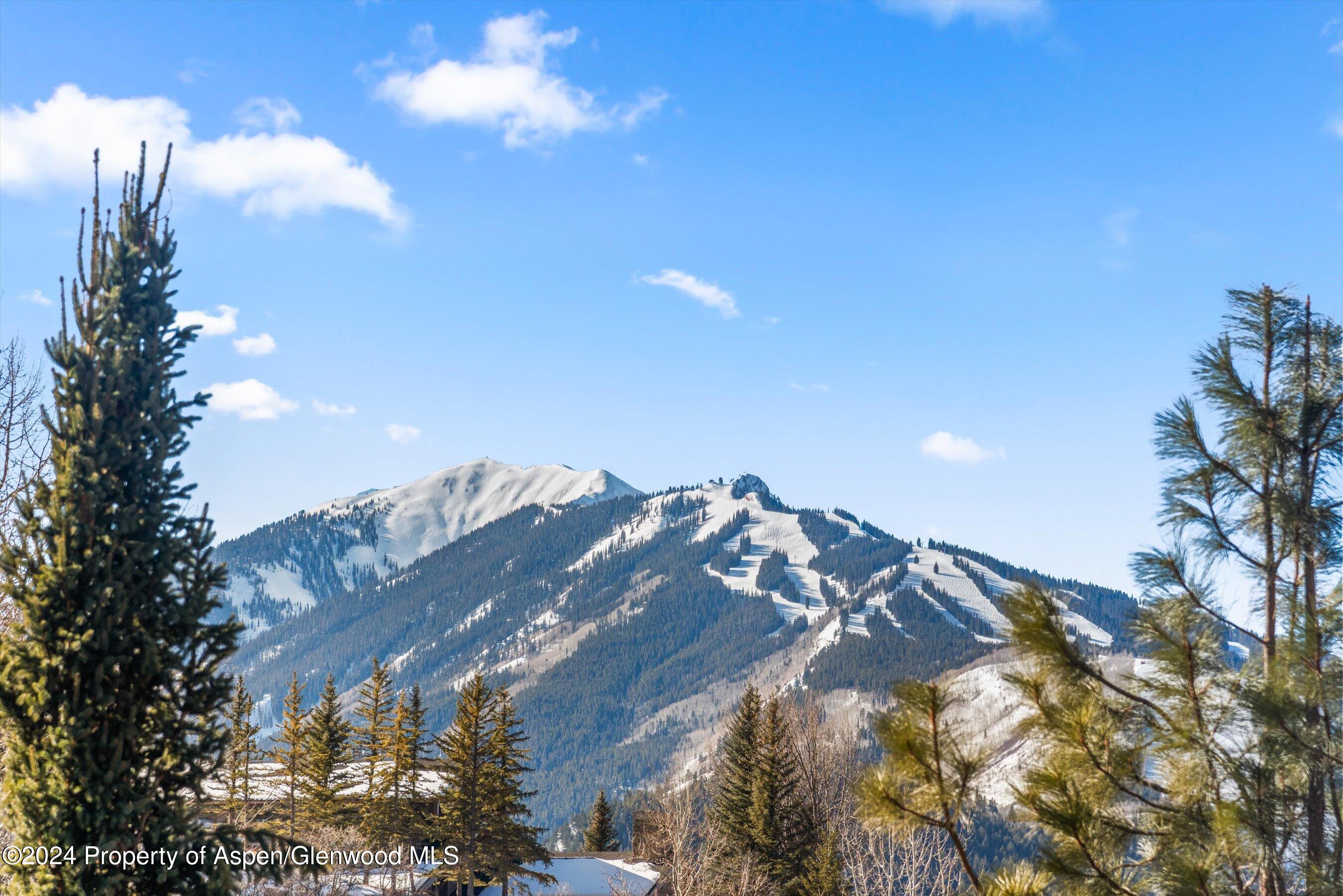 25 Nighthawk Drive Aspen CO 81611