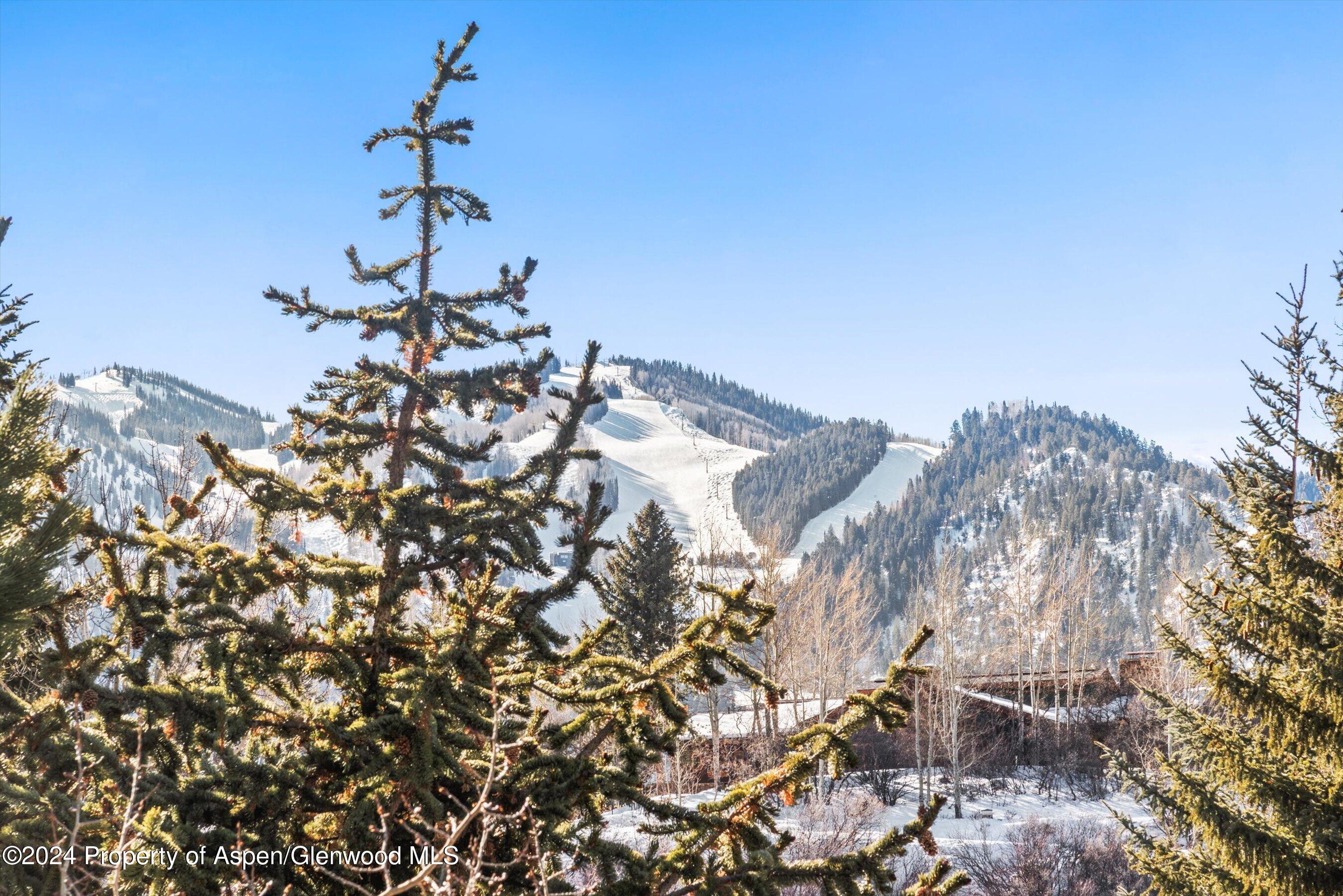 25 Nighthawk Drive Aspen CO 81611