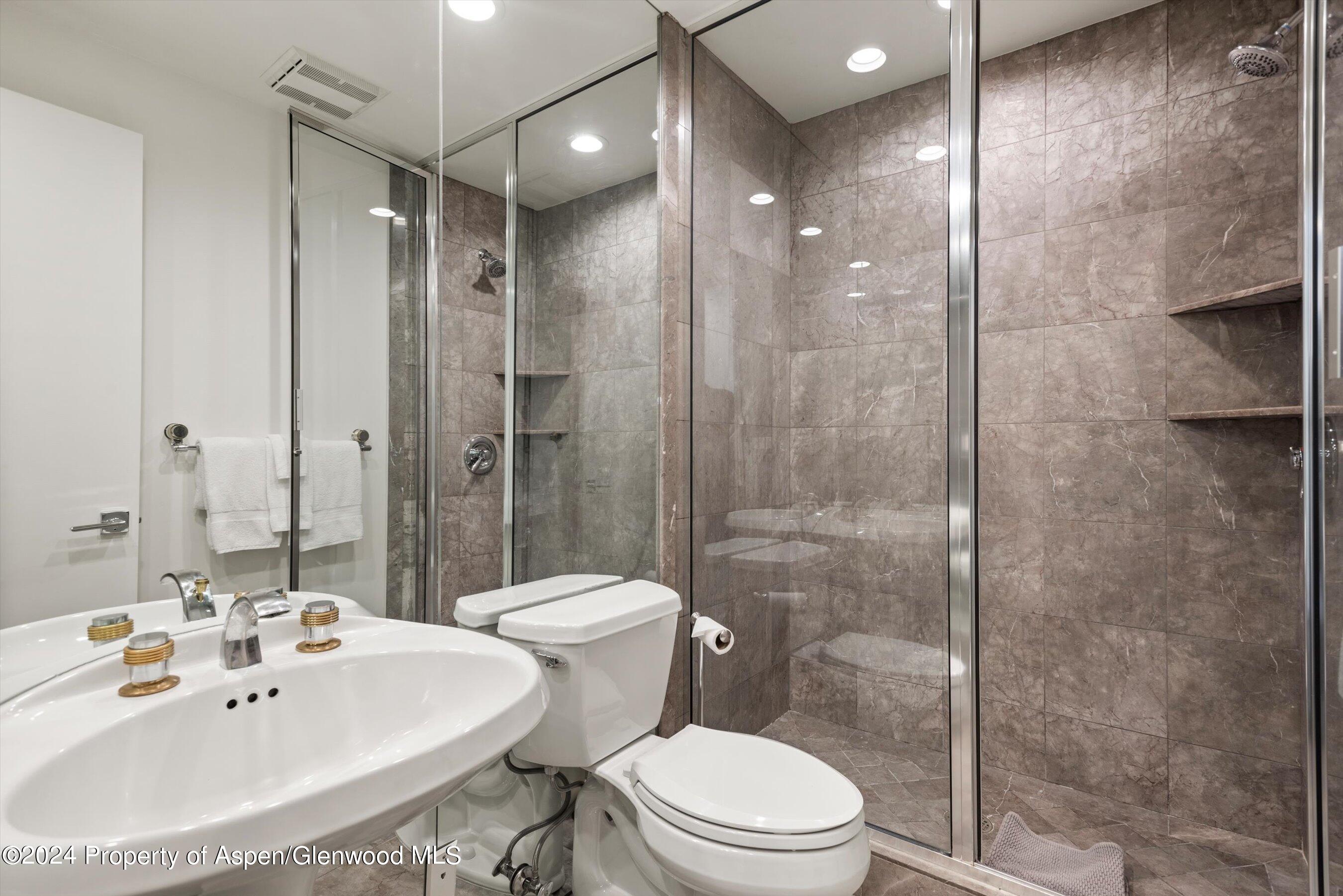 450 S Original Street Aspen CO 81611