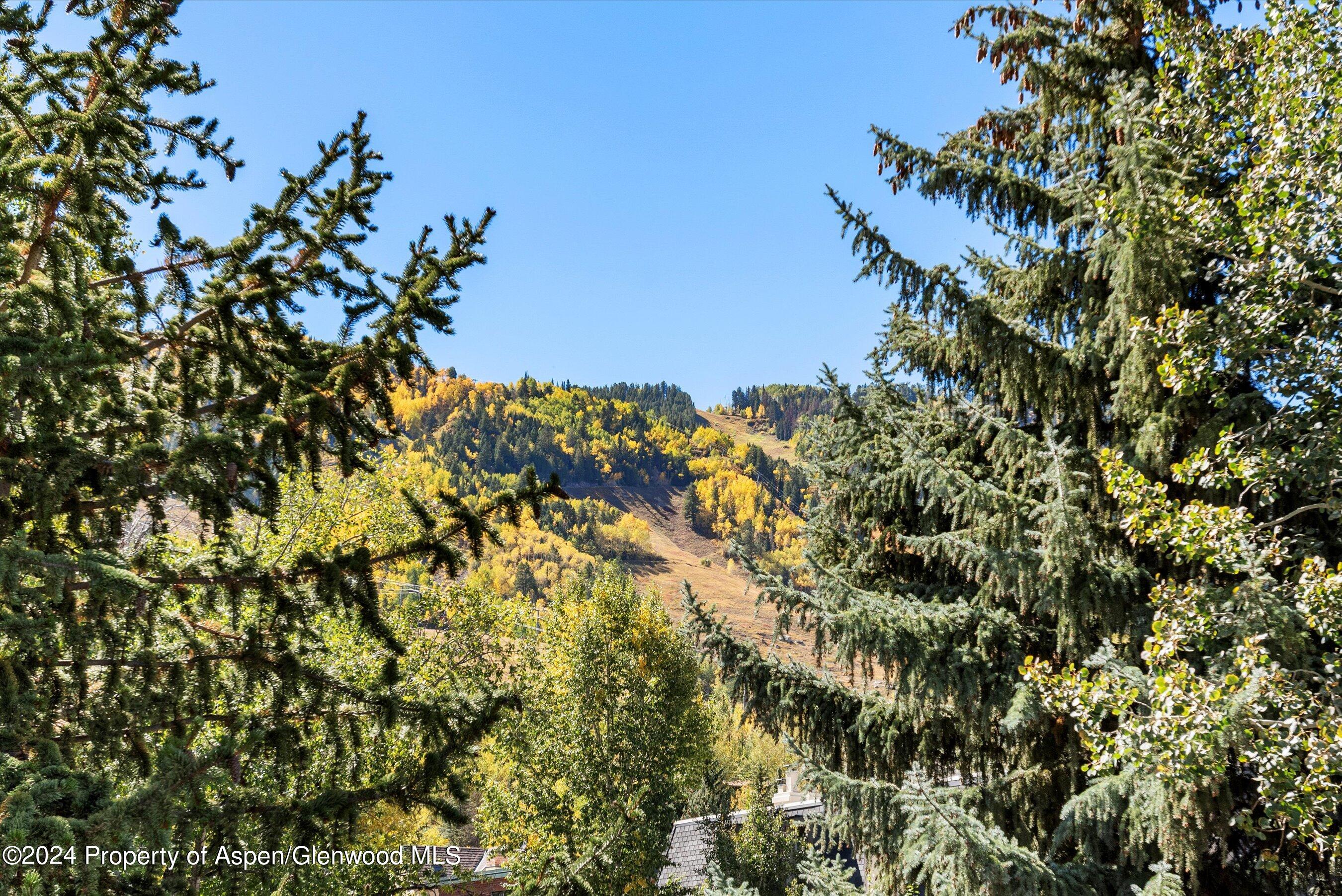 450 S Original Street Aspen CO 81611