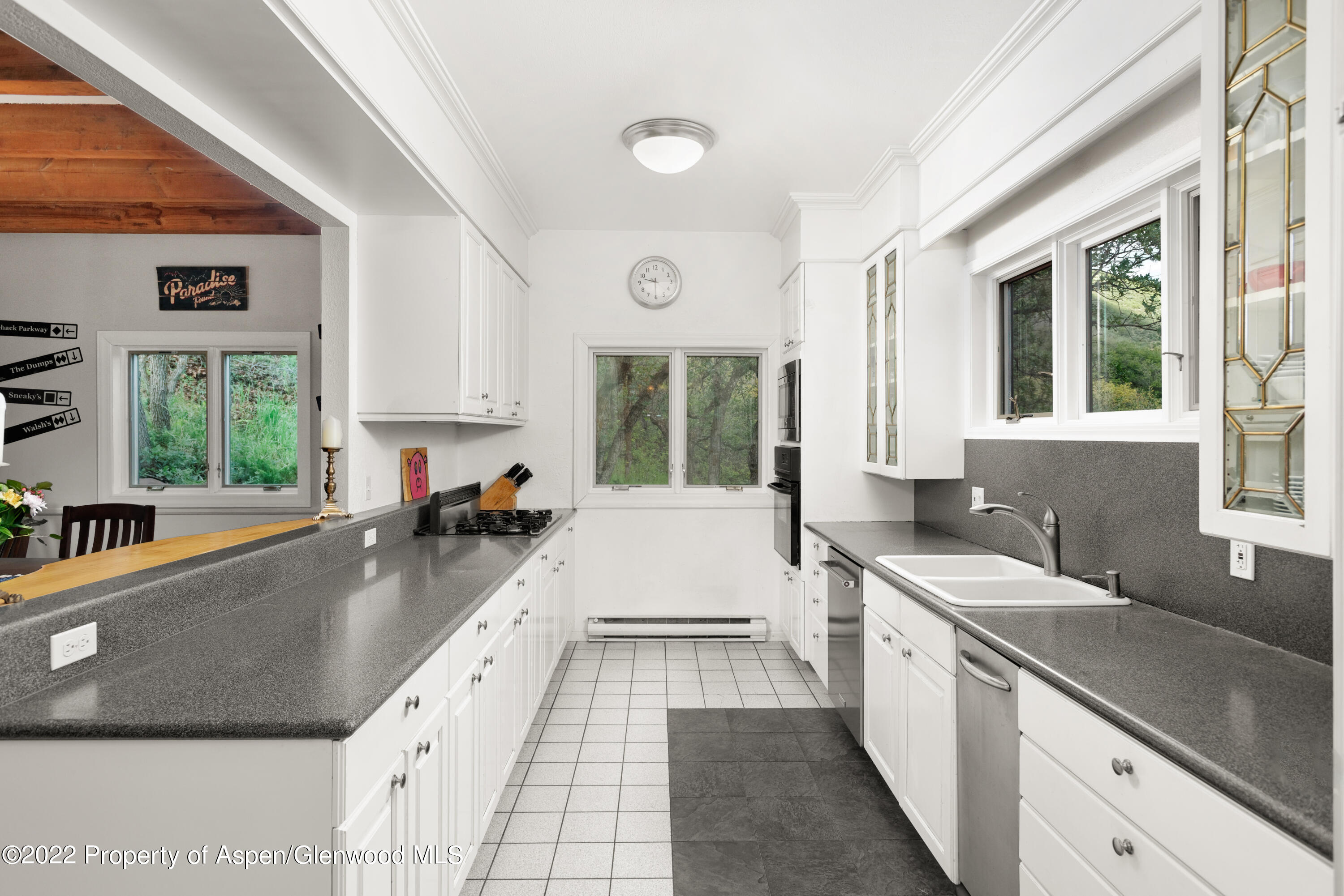 540 Upper Ranch Road Aspen CO 81611