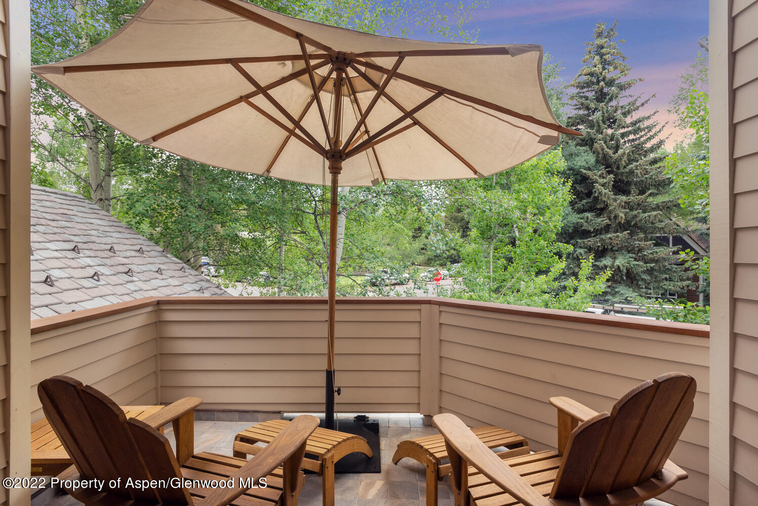 504 N 8th Street Aspen CO 81611