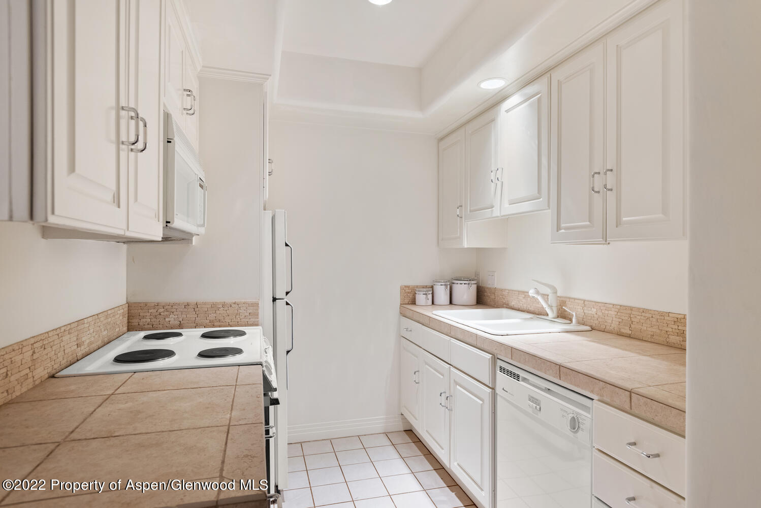 504 N 8th Street Aspen CO 81611