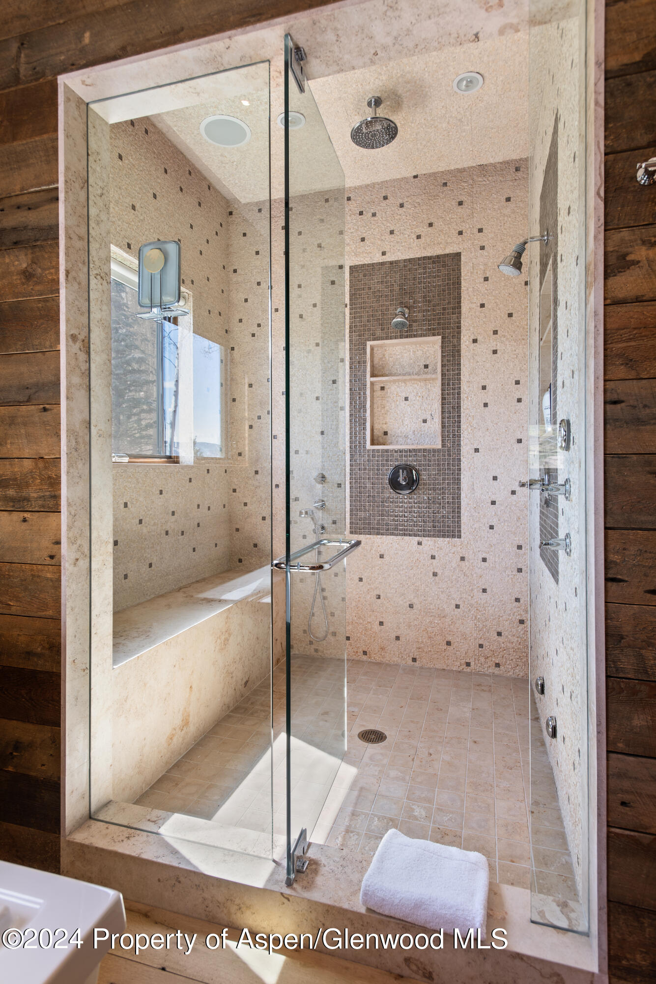 1044 Two Creeks Drive Snowmass Village CO 81615