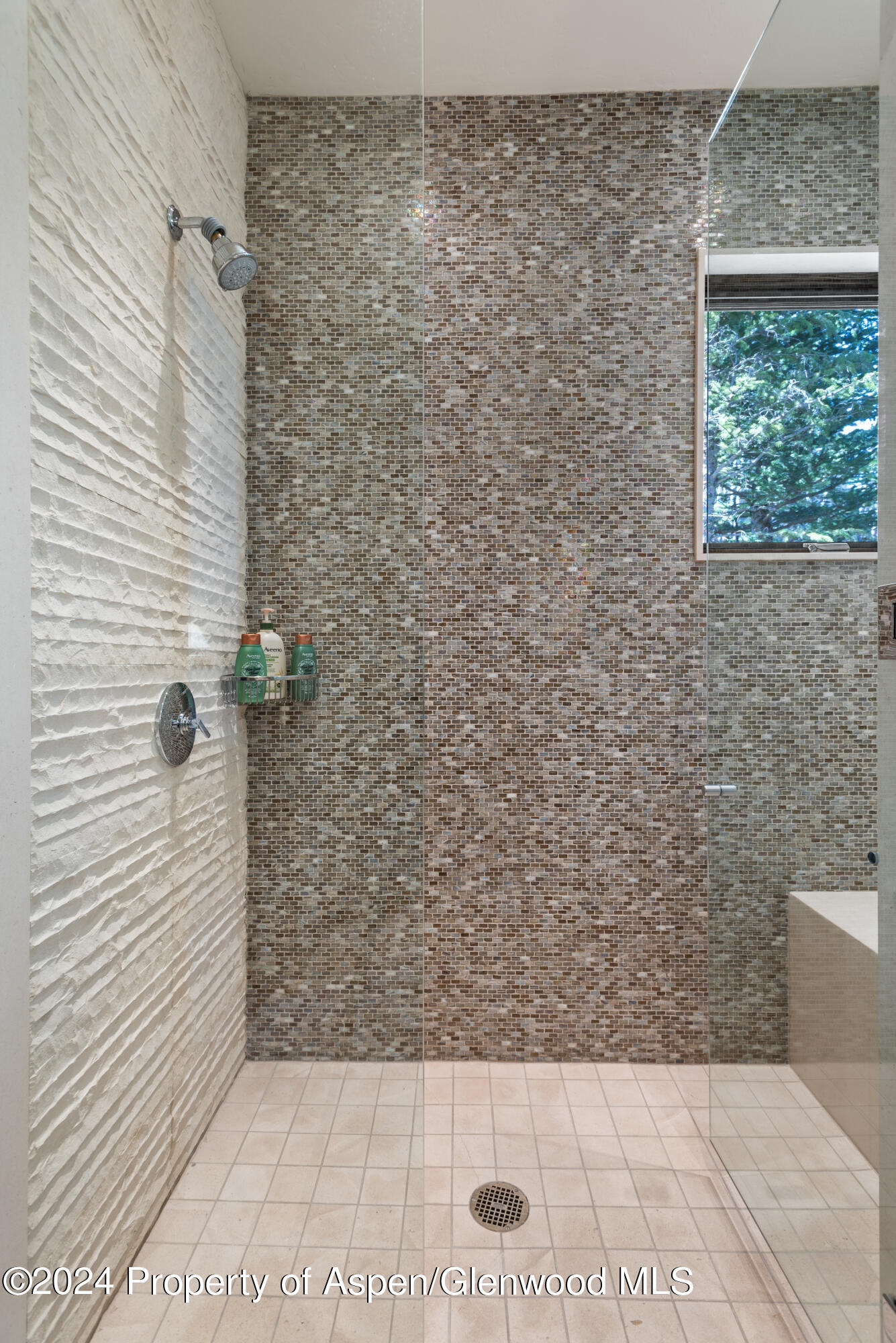 1044 Two Creeks Drive Snowmass Village CO 81615