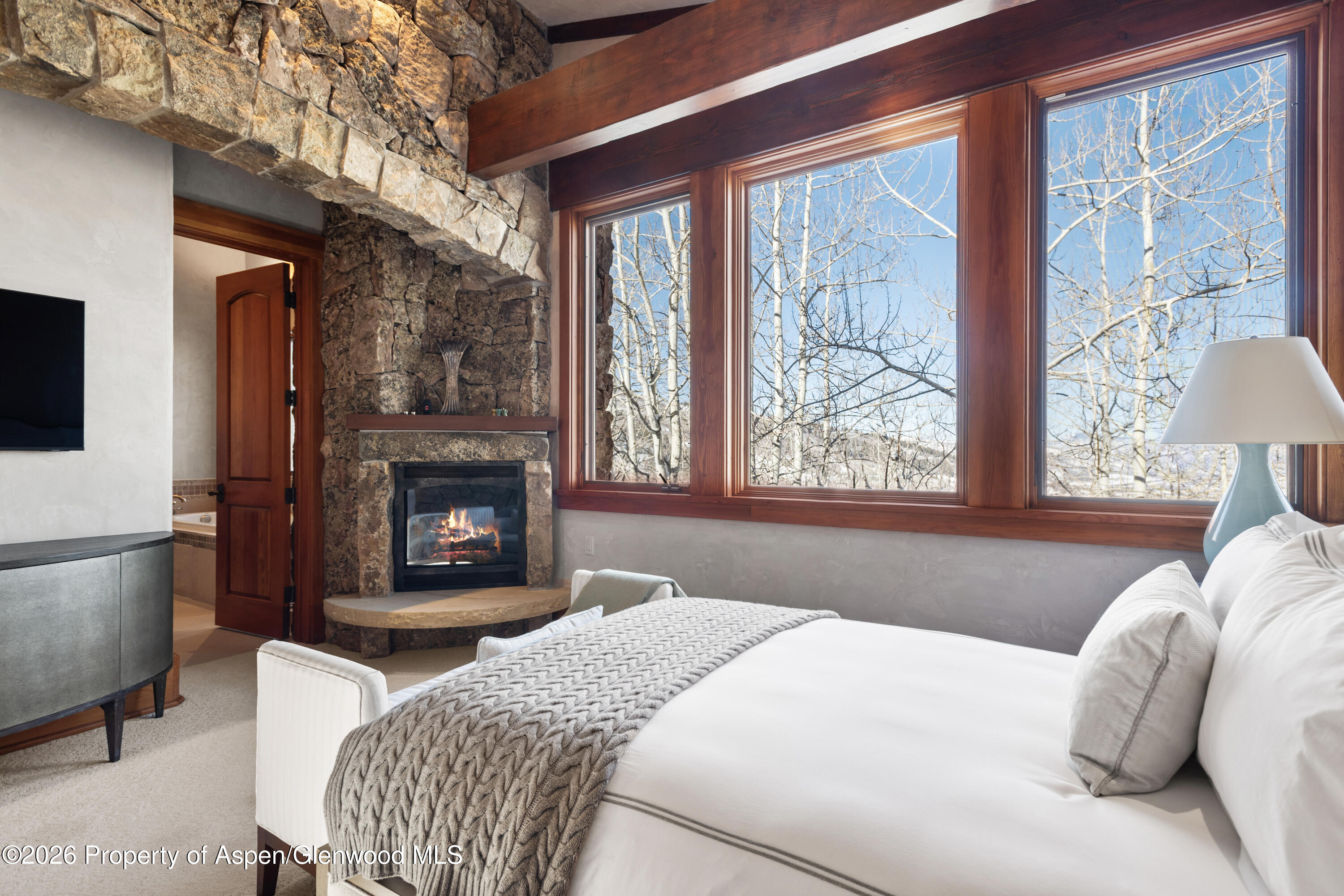 170 Falcon Road Aspen CO 81611