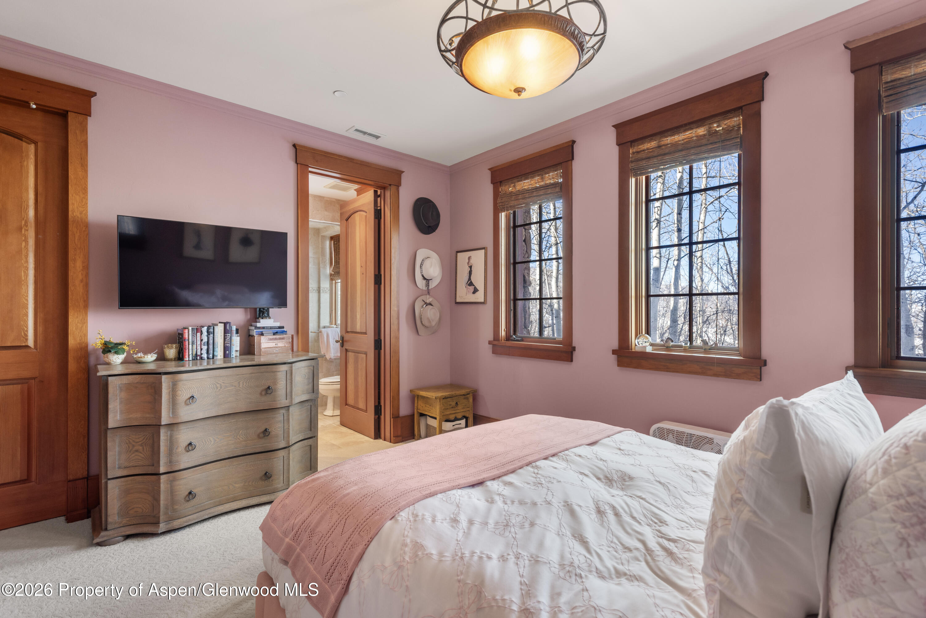 170 Falcon Road Aspen CO 81611