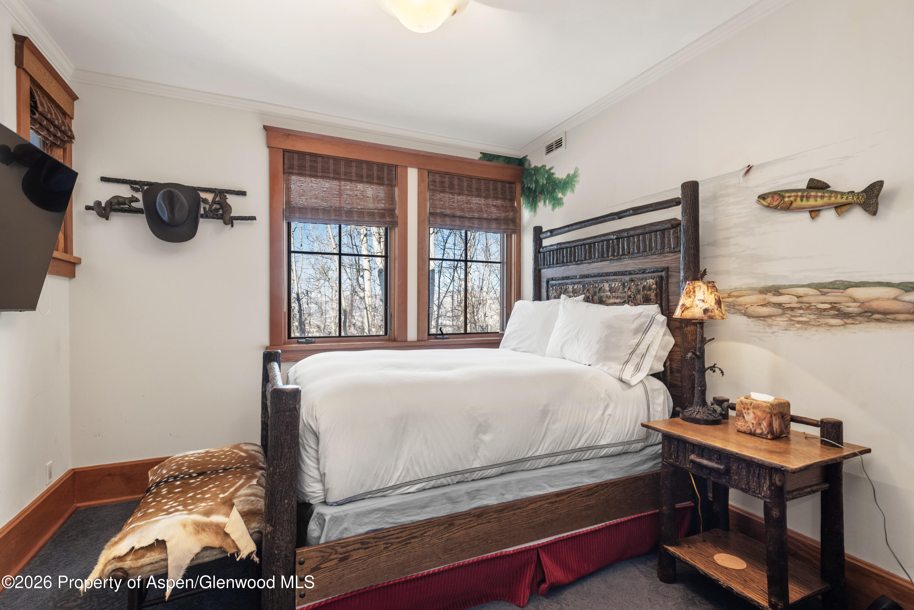 170 Falcon Road Aspen CO 81611