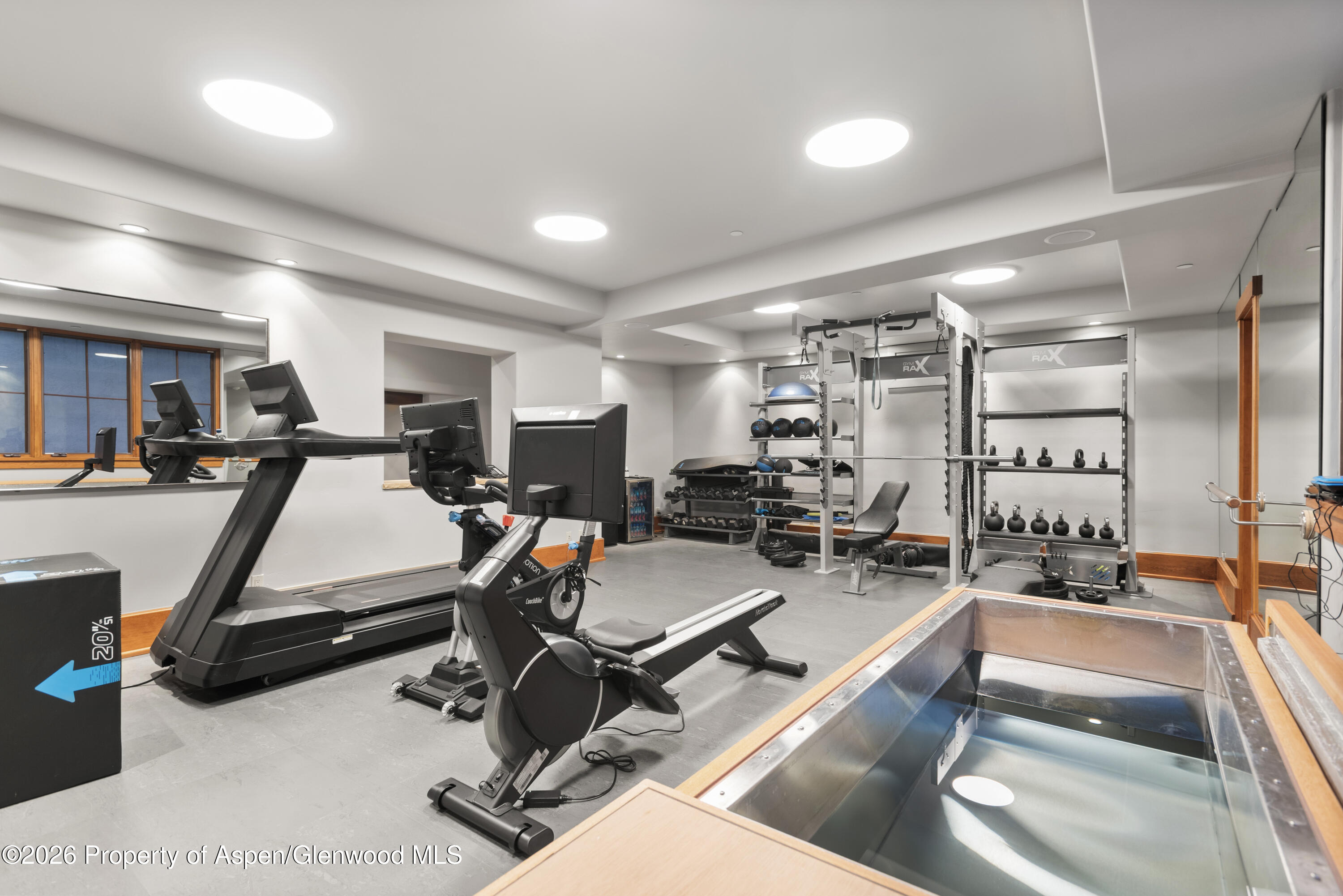 170 Falcon Road Aspen CO 81611