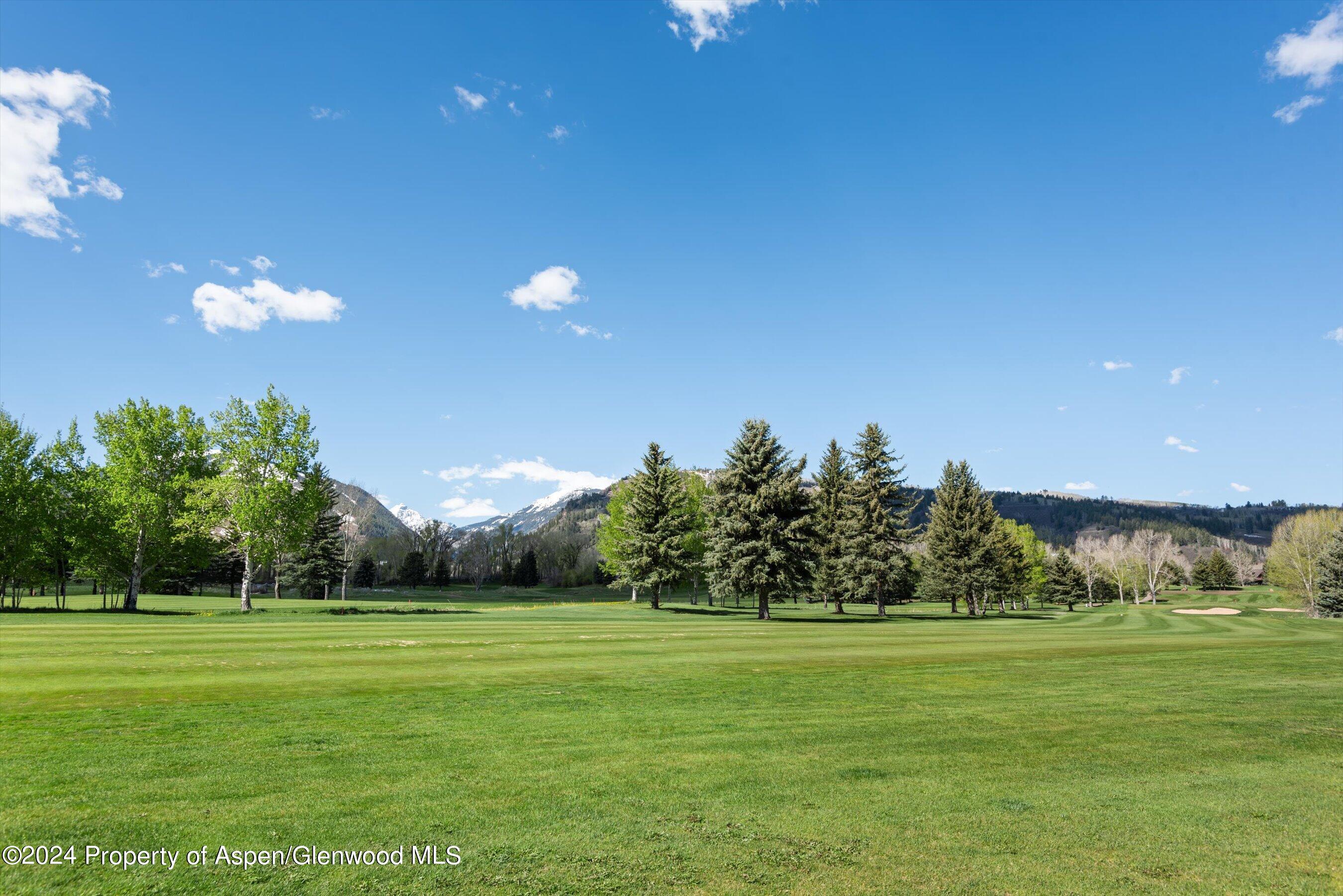 855 Bonita Aspen CO 81611