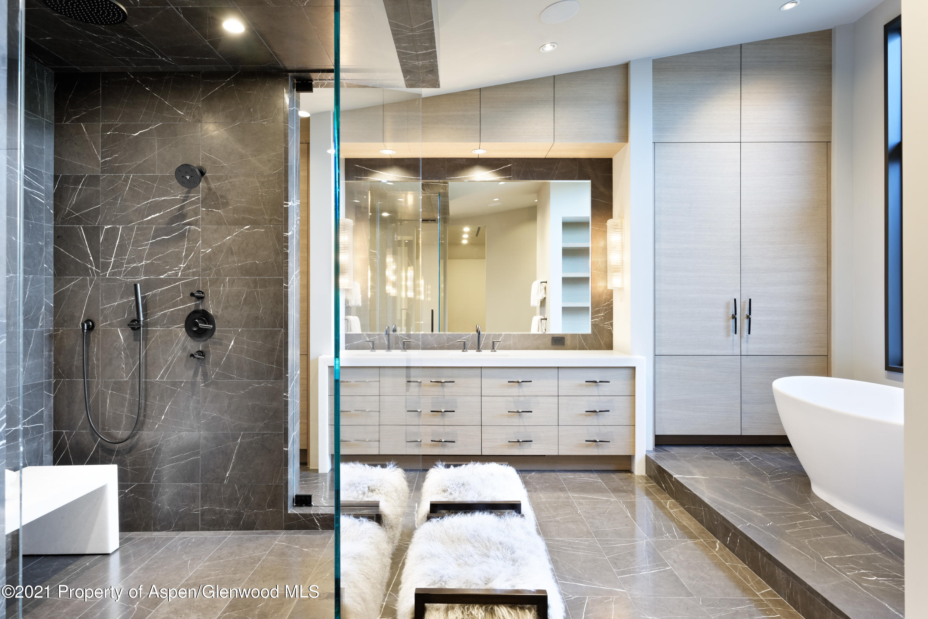 651 Pfister Drive Aspen CO 81611