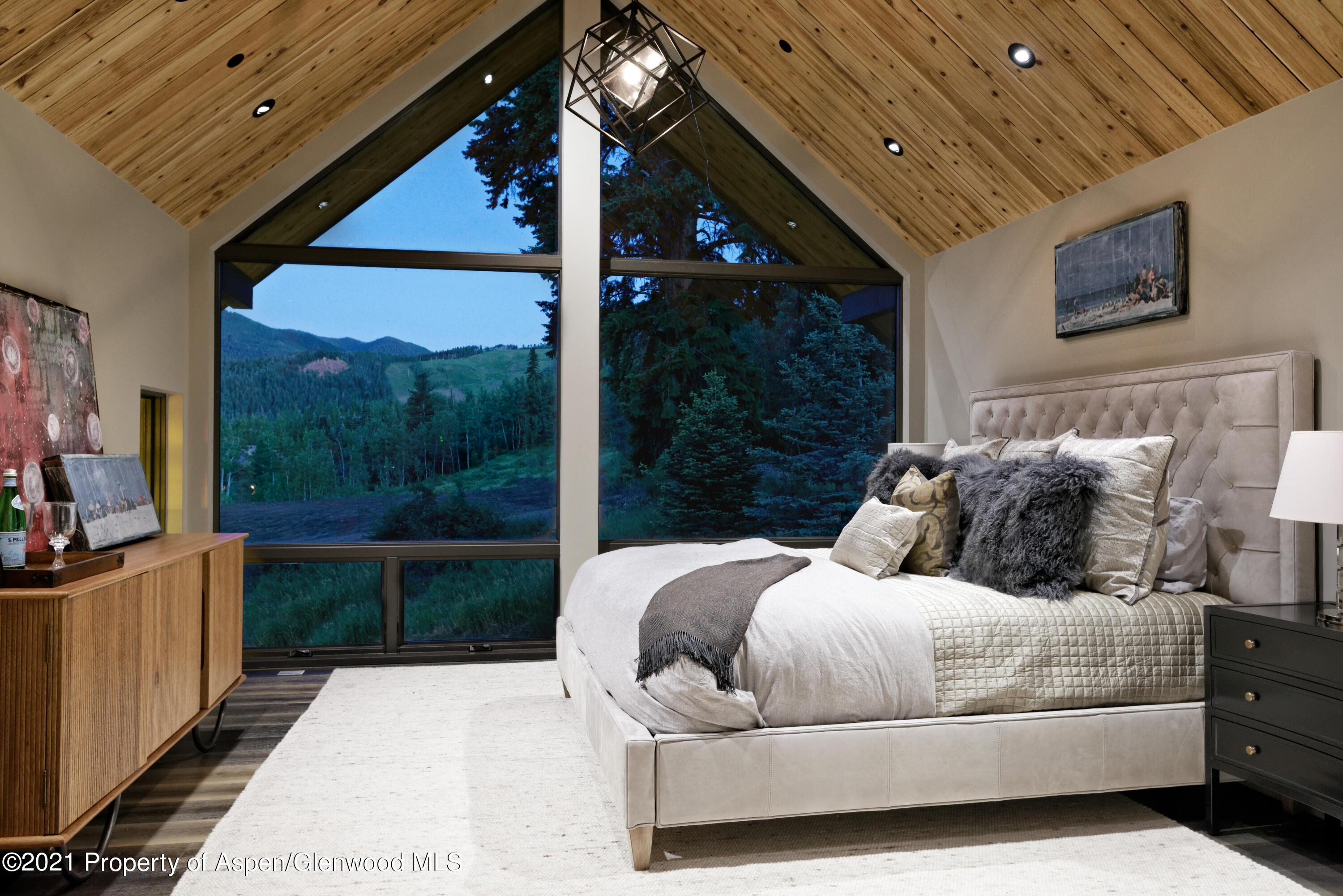 651 Pfister Drive Aspen CO 81611