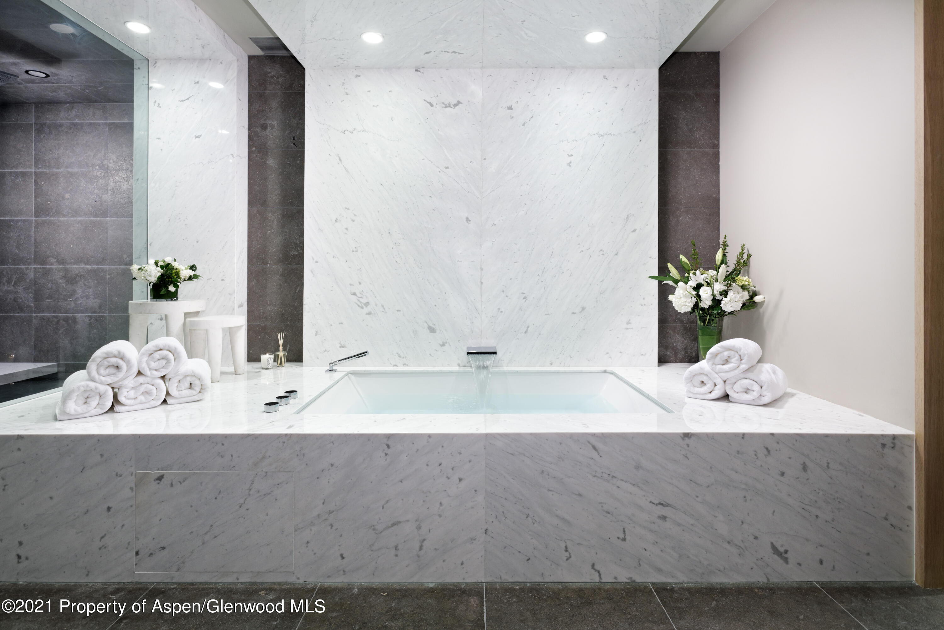 651 Pfister Drive Aspen CO 81611