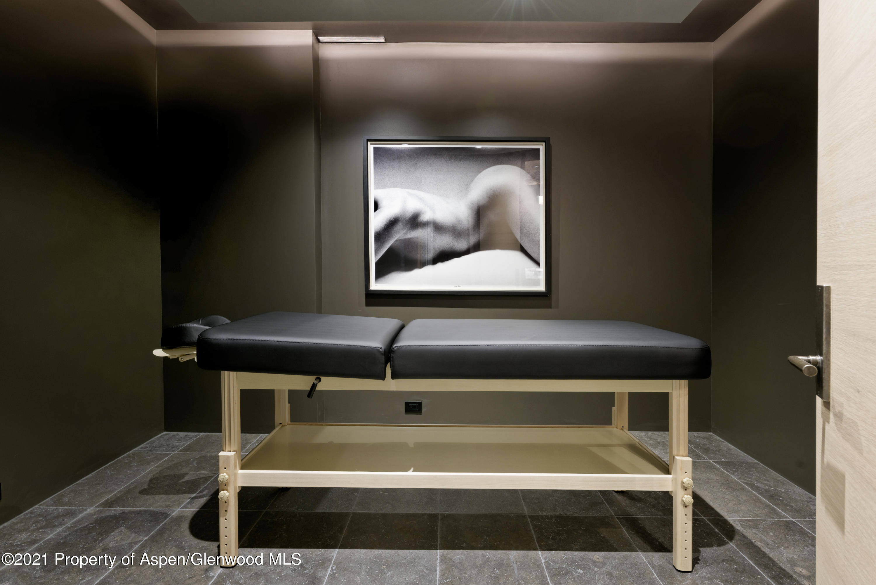 651 Pfister Drive Aspen CO 81611