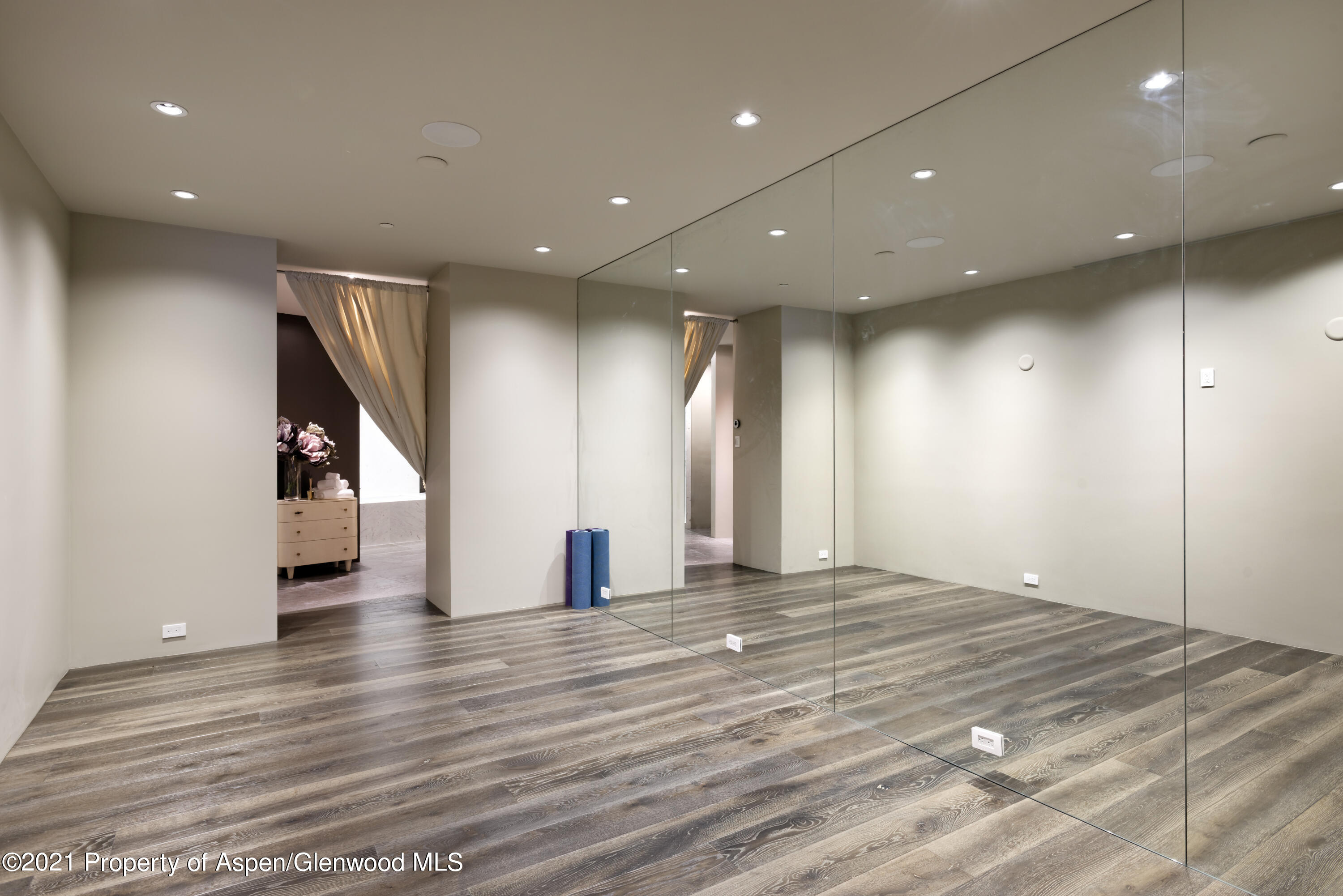 651 Pfister Drive Aspen CO 81611