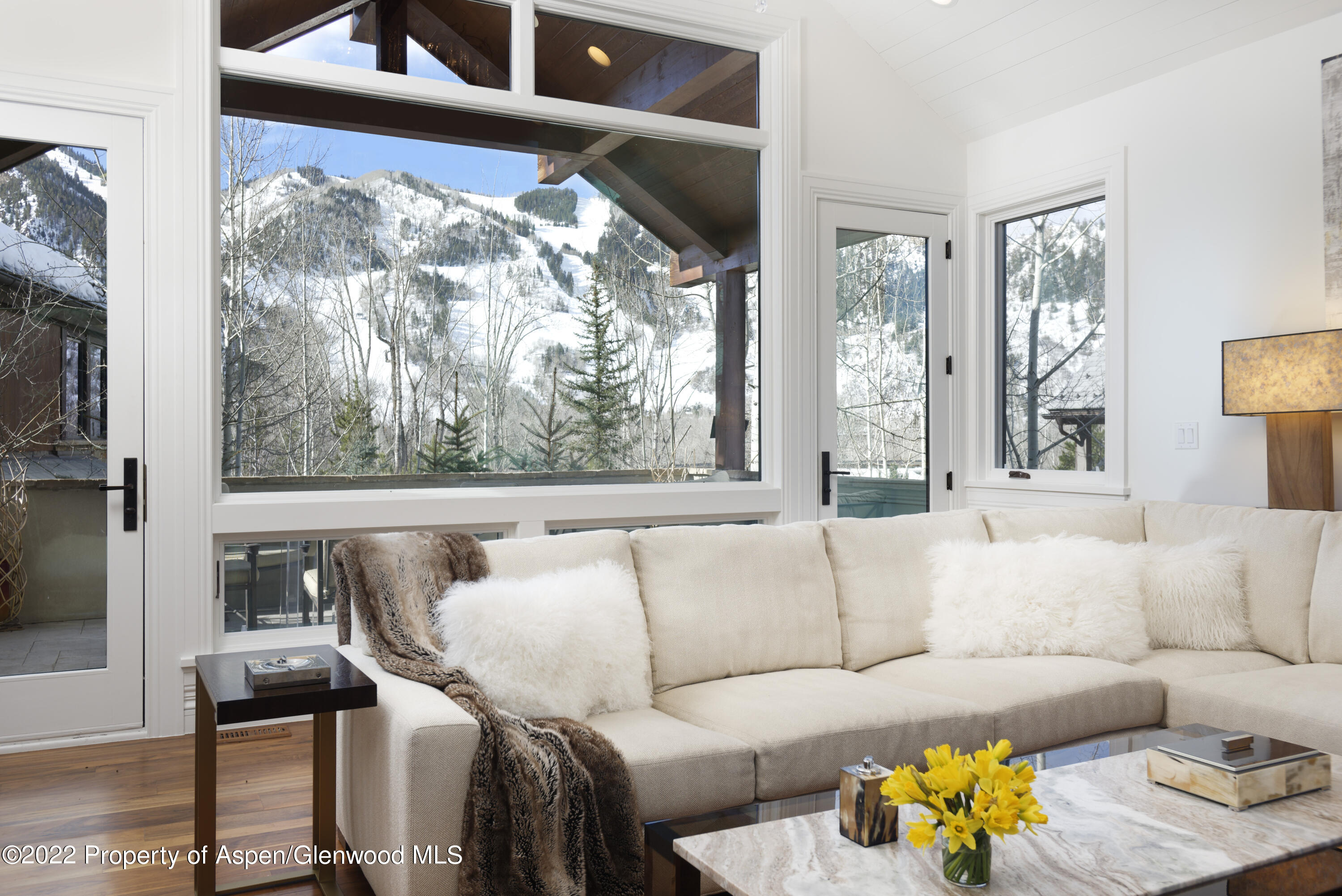 511 Walnut Street Aspen CO 81611
