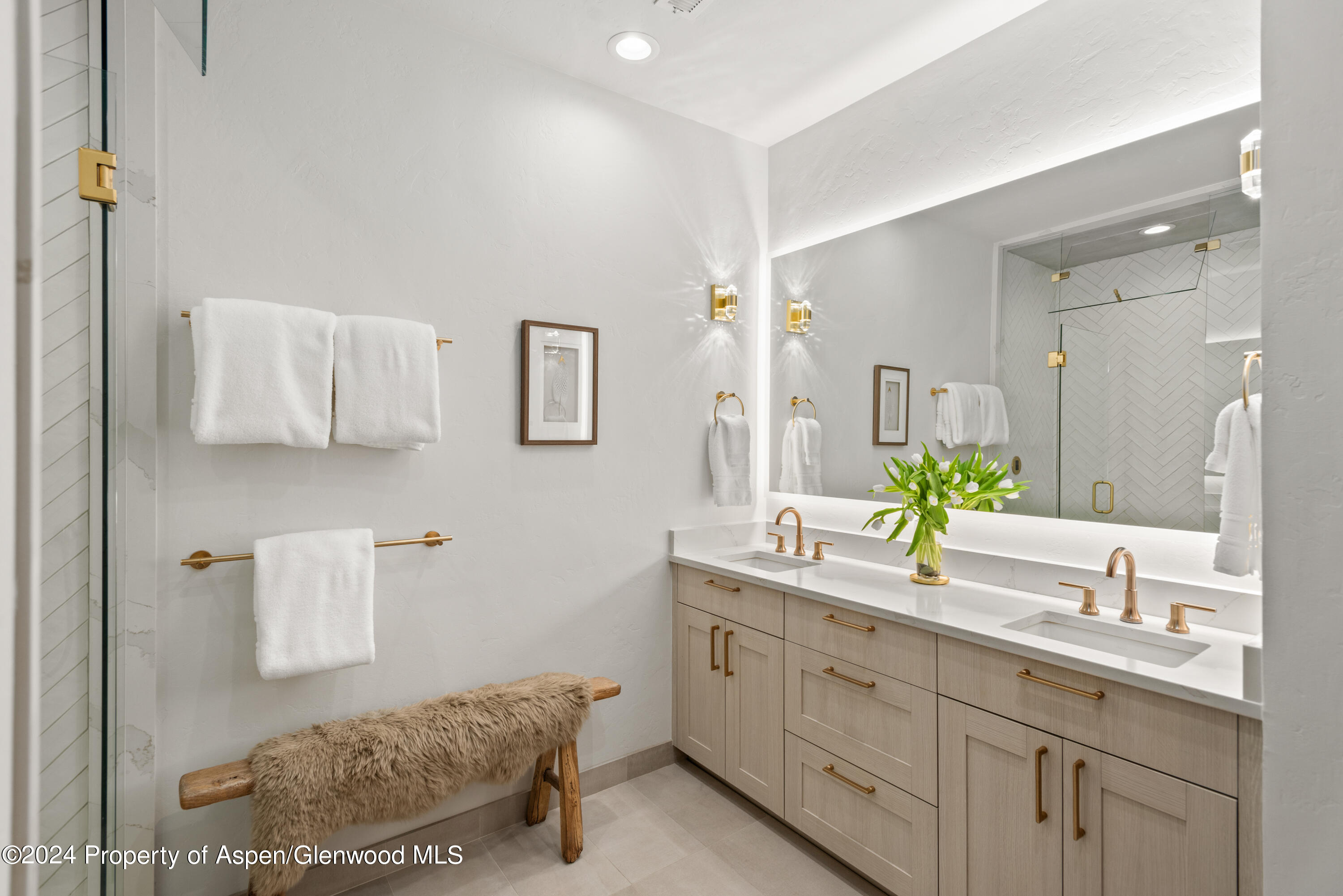 501 W Main Street Aspen CO 81611