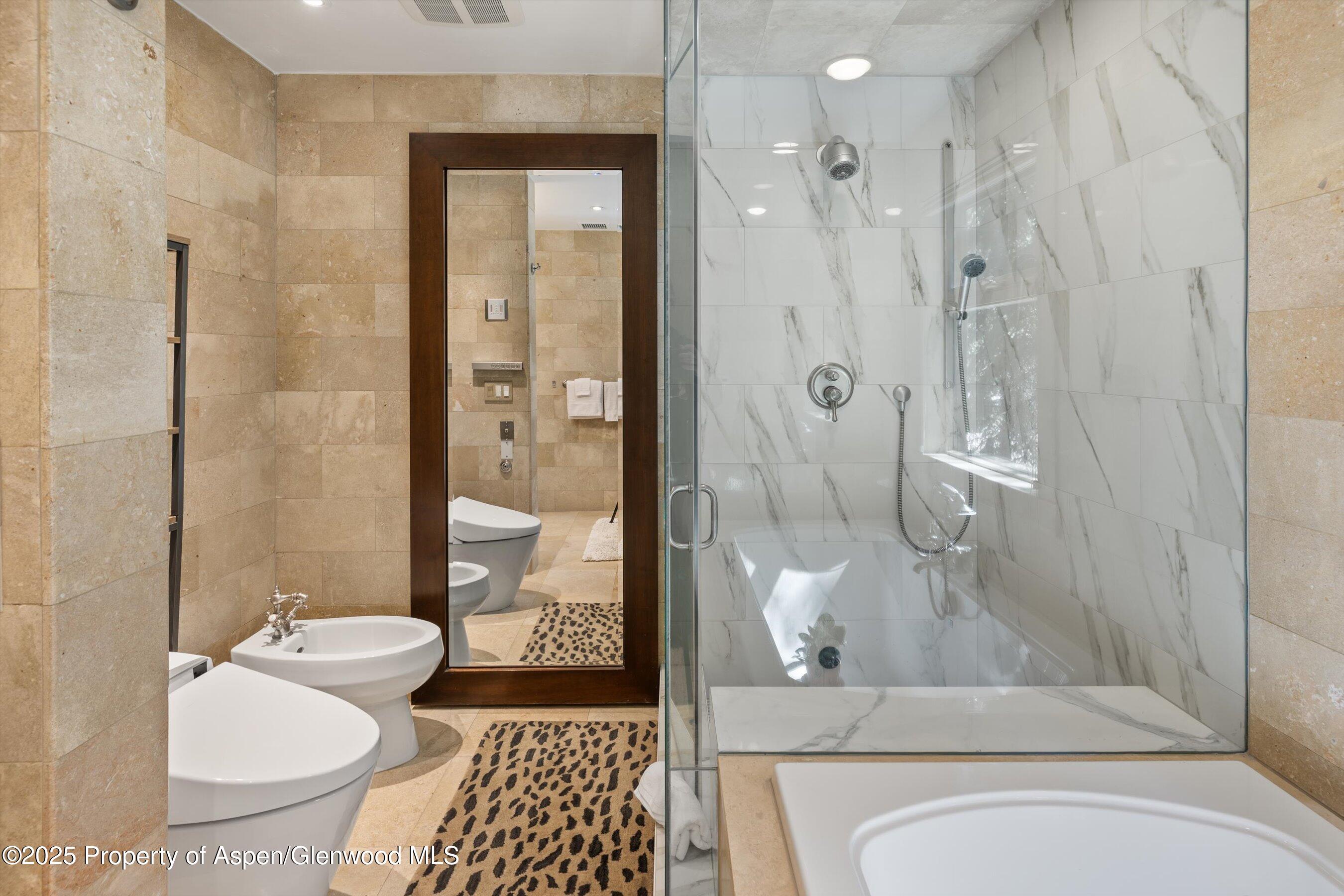 901 W Francis Street Aspen CO 81611